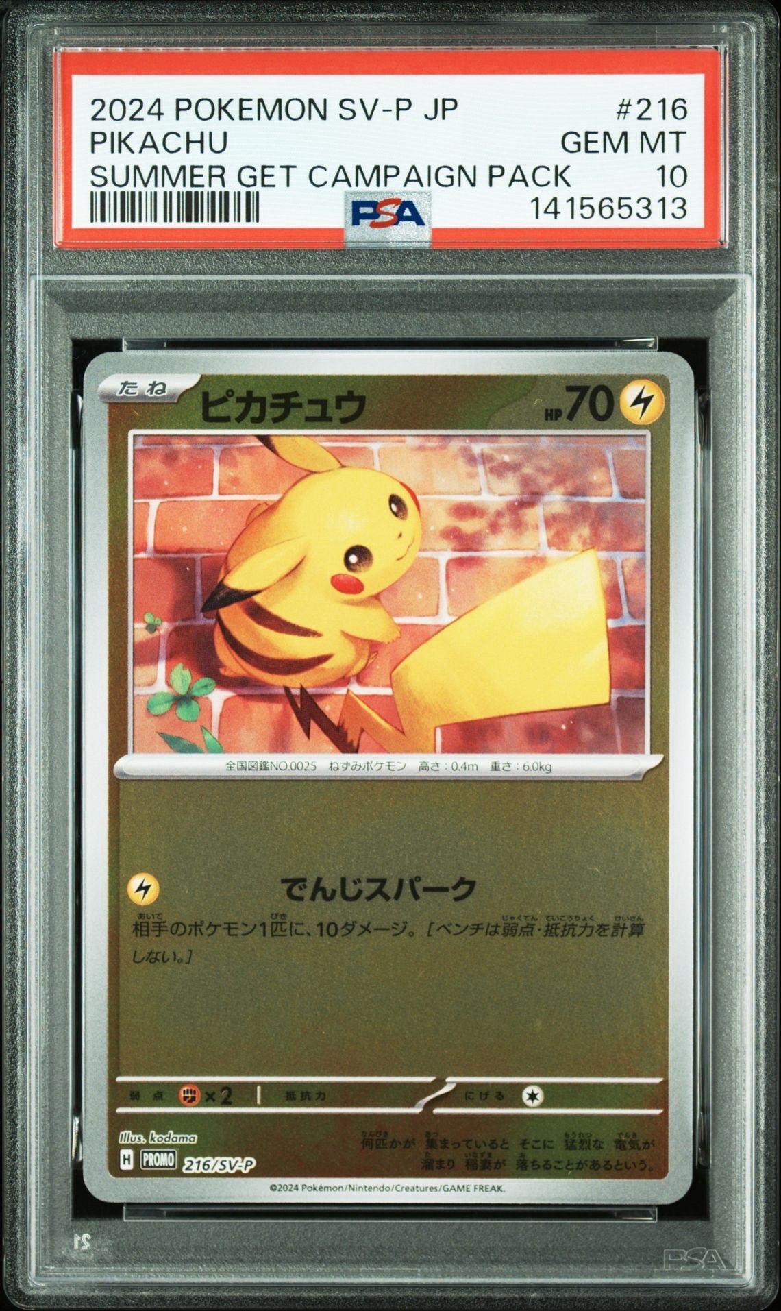 PSA10】ピカチュウ P [SV-P 216](プロモカードパック「ポケカの夏が