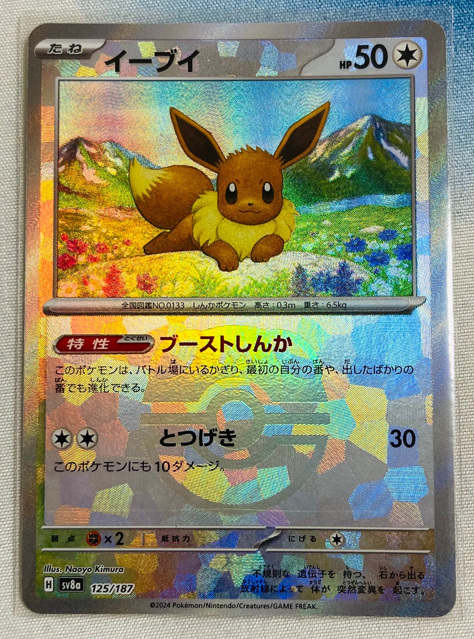 イーブイ :マスターボールミラー [SV8a 125/187](ハイクラスパック「テラスタルフェスex」)