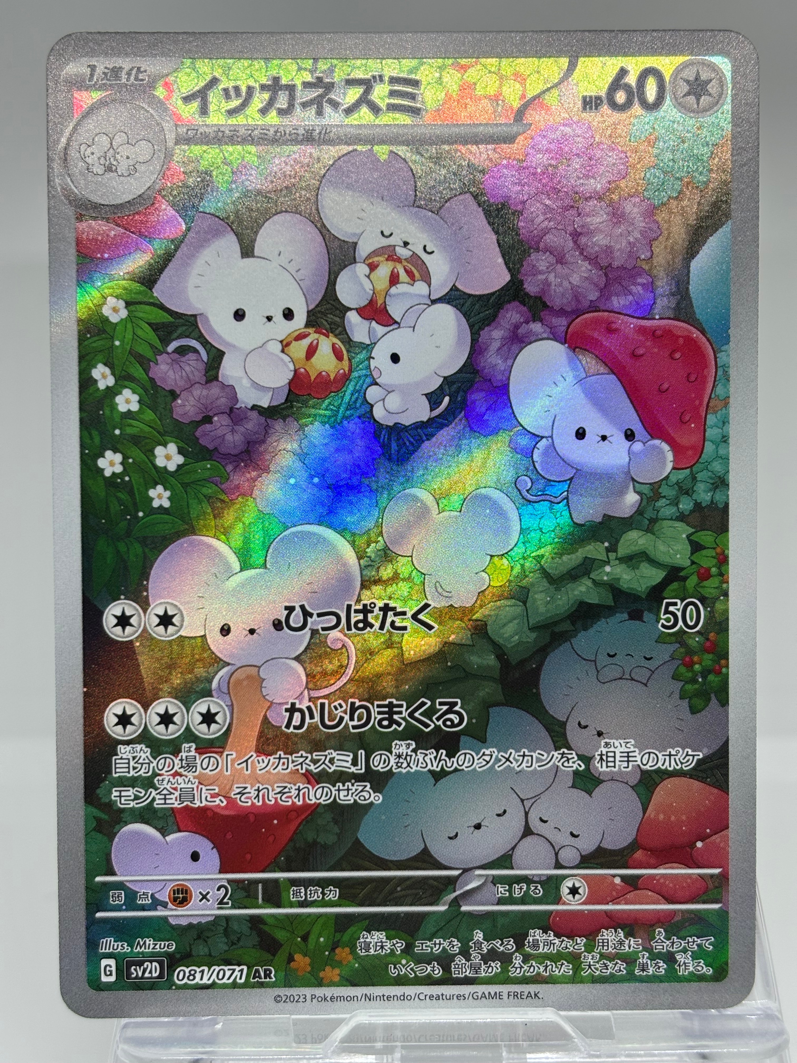 イッカネズミ AR[SV2D 081/071](拡張パック「クレイバースト」)の新品