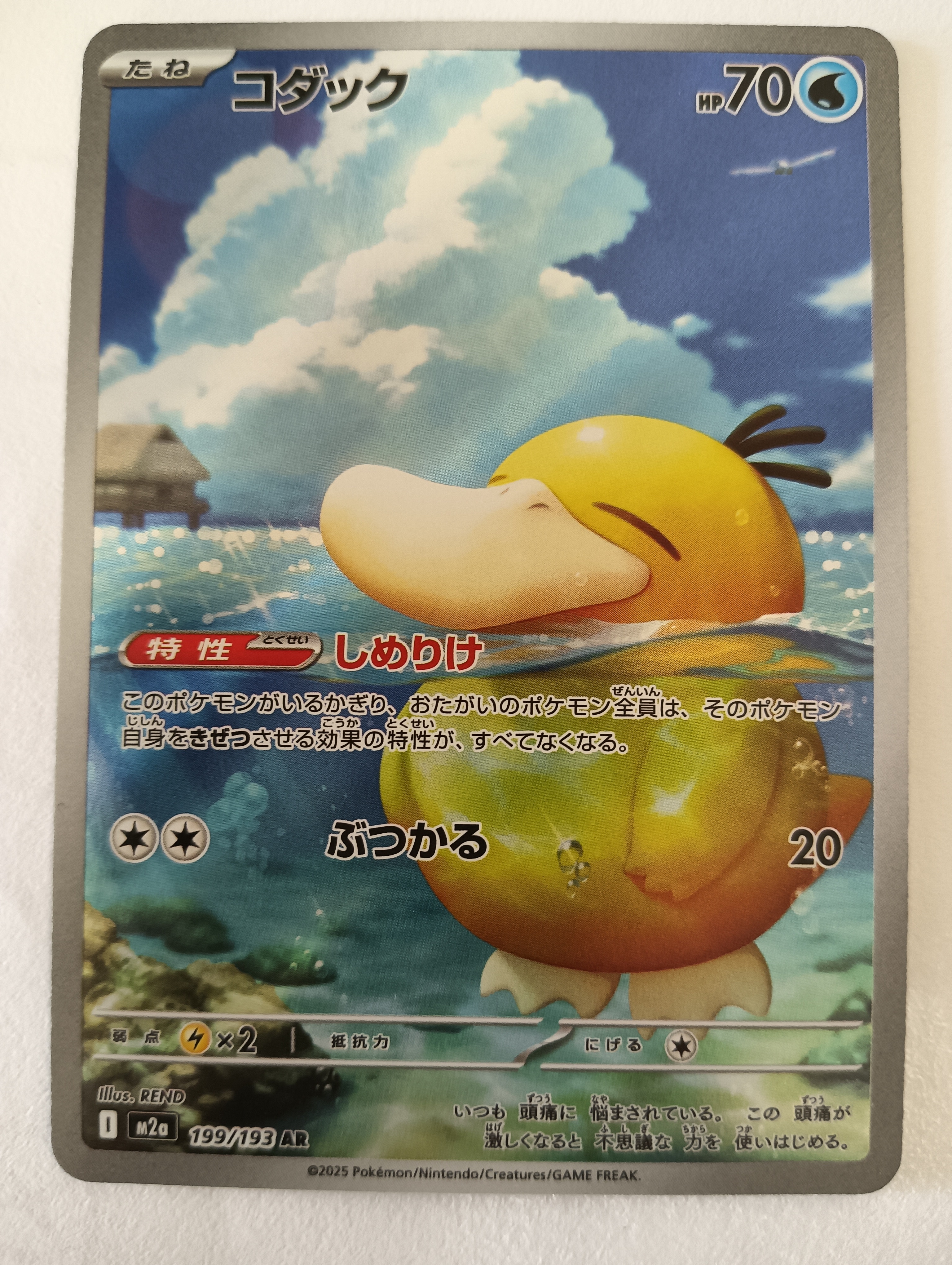 コダック AR [M2a 199/193](ハイクラスパック「MEGAドリームex」)