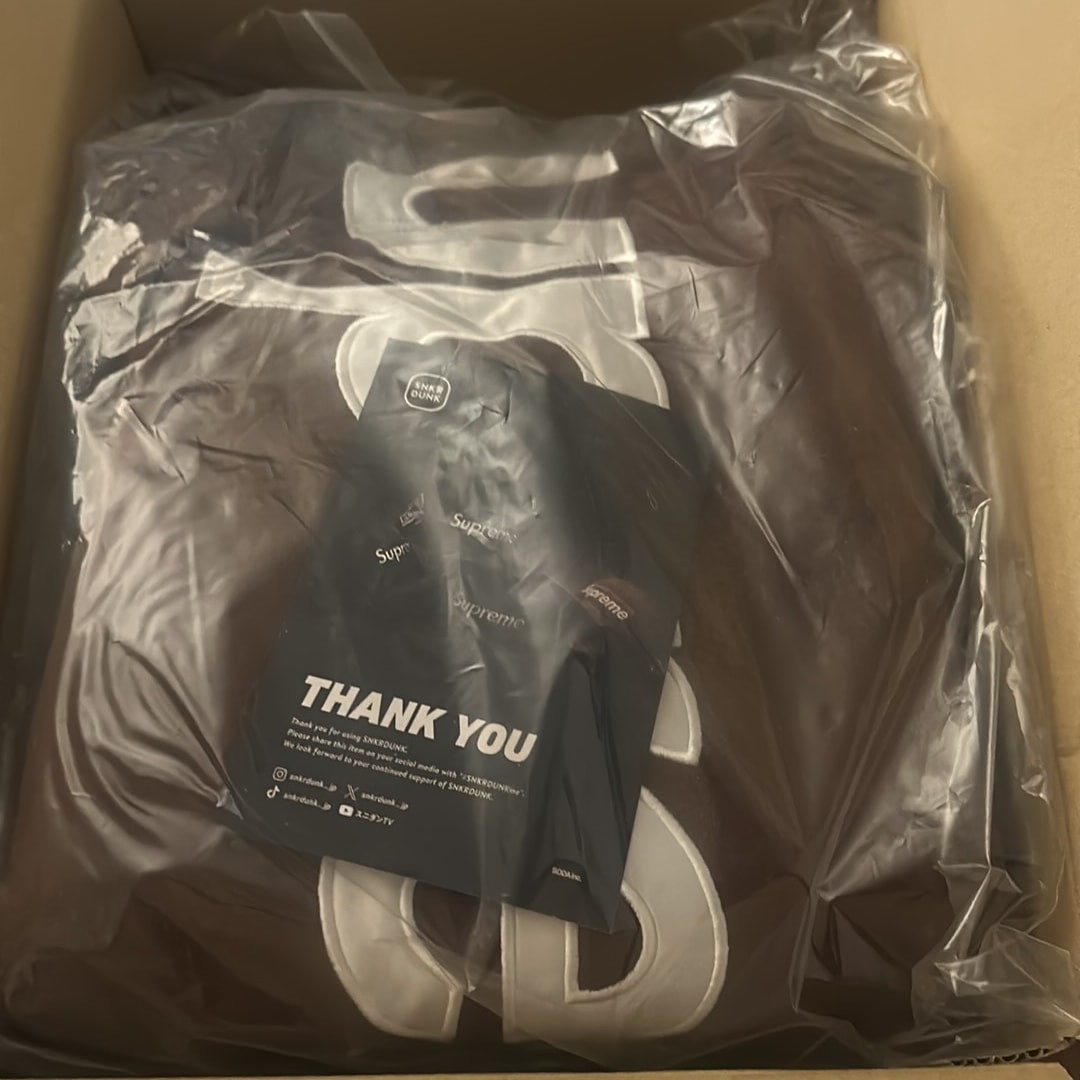 Supreme Satin Applique Hooded Sweatshirt "Brown" (24FW)