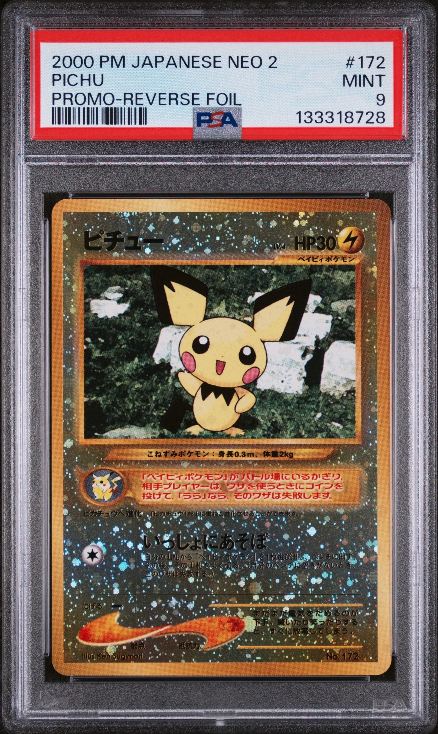 ピチュープレミアムファイル2: 旧裏[neoP2 No.172](プレミアムファイル