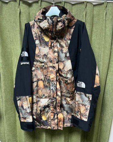 The North Face MOUNTAIN LIGHT JACKET "Leaves"