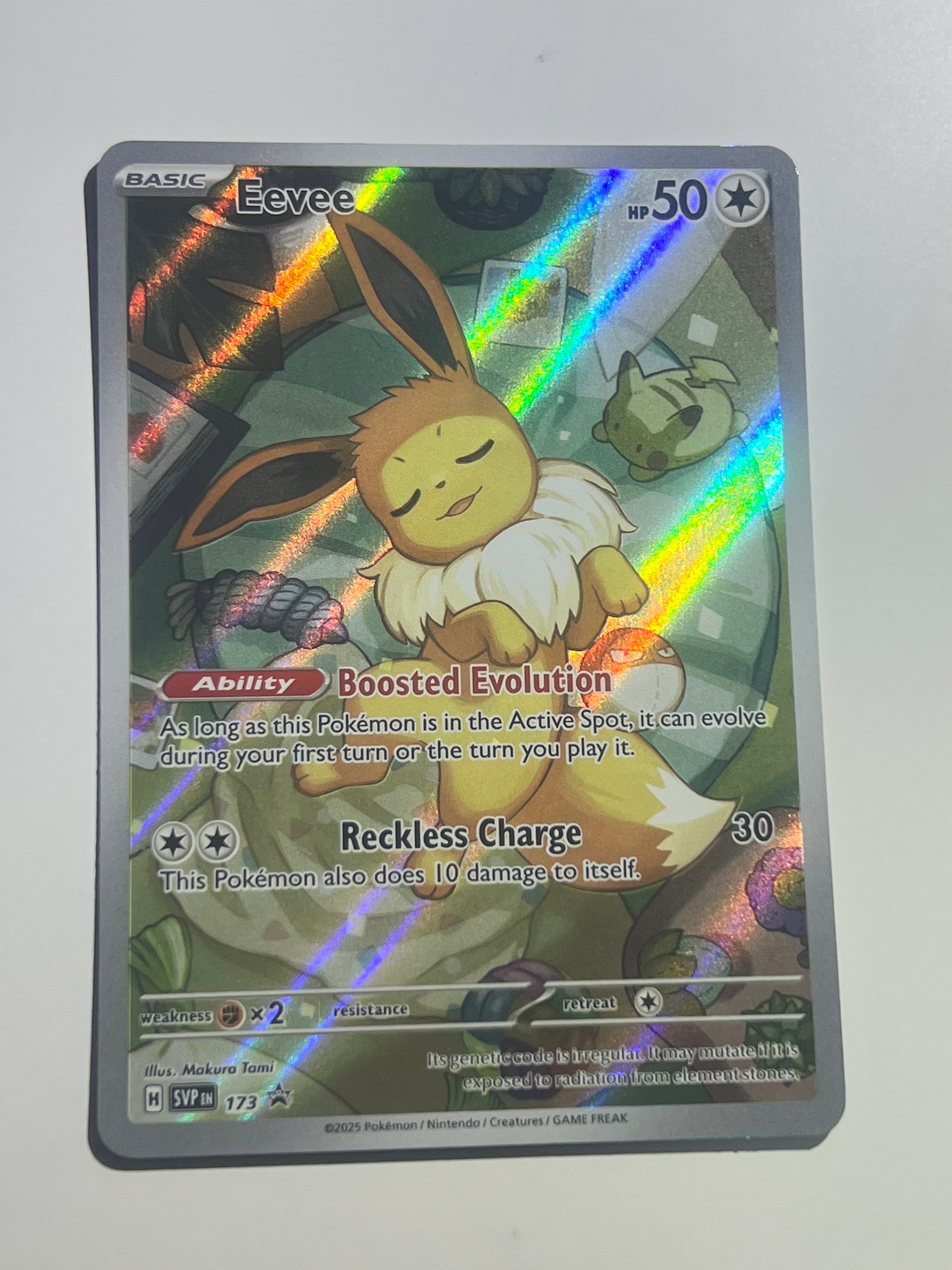 イーブイ P [SVP EN 173]【英語版】(スカーレット&バイオレット「プリズマティックエボリューションズ エリートトレーナボックス」)