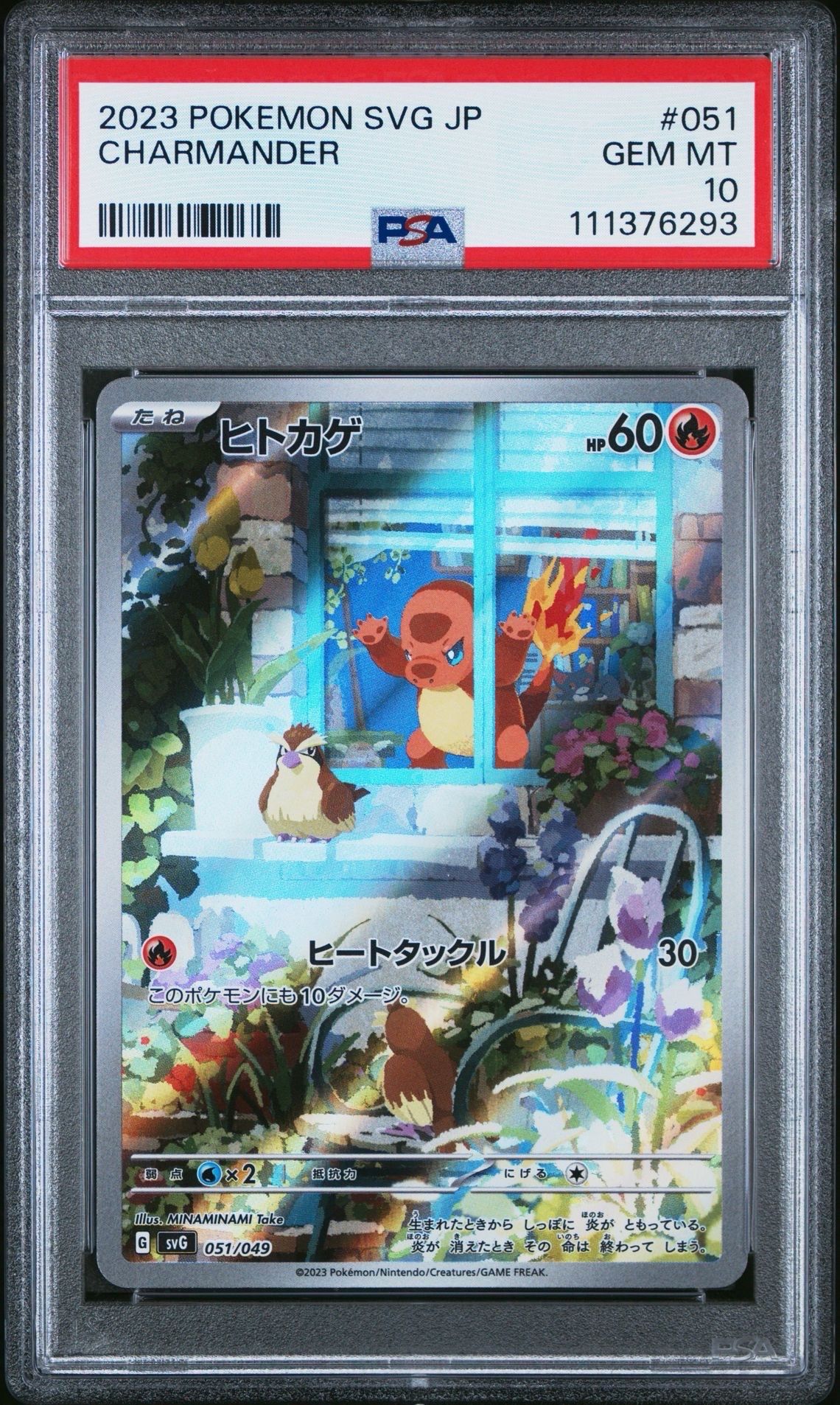 ヒトカゲ :フルイラスト [SVG 051/049](スペシャルデッキセットex「フシギバナ・リザードン・カメックス」)