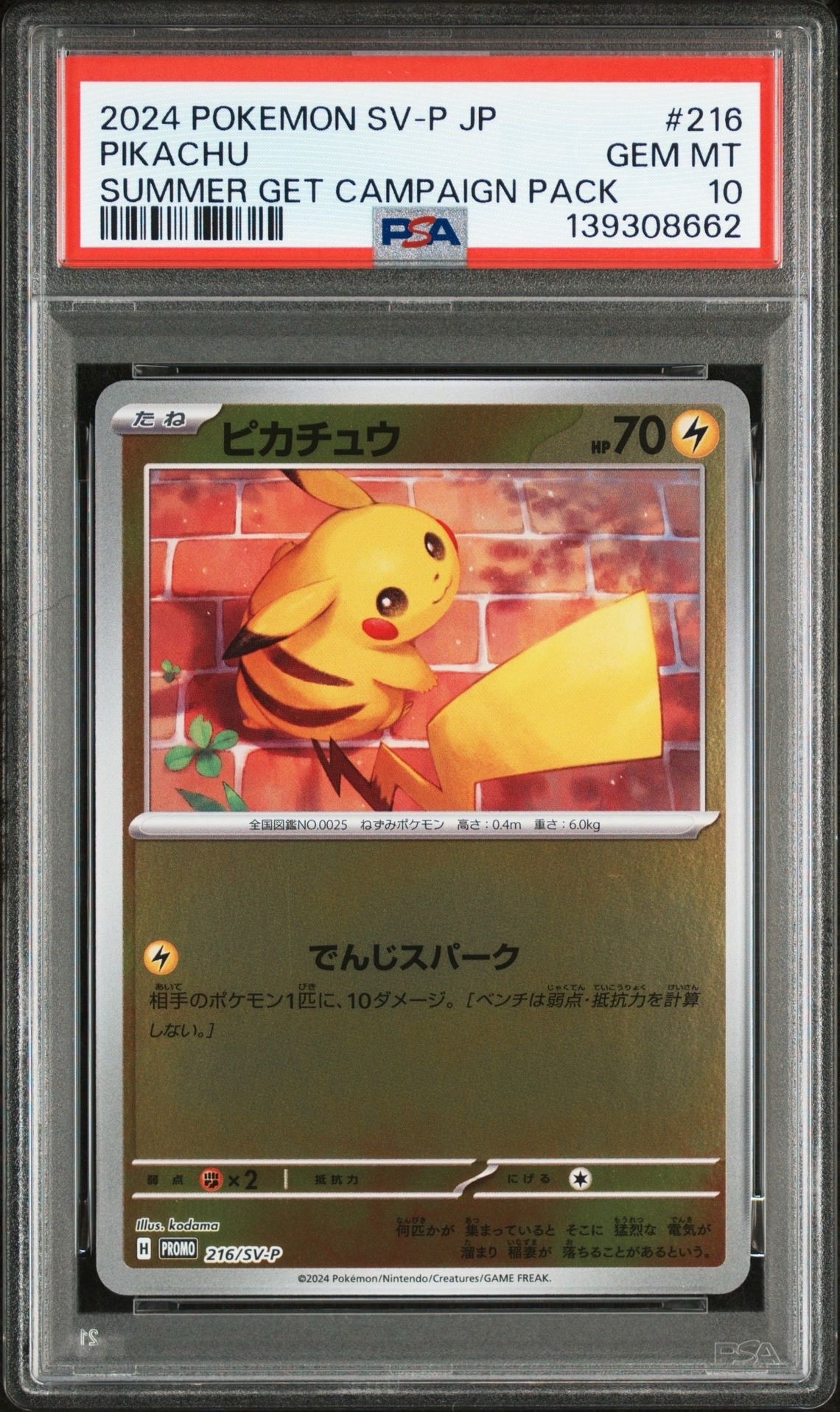 ピカチュウ P [SV-P 216](プロモカードパック「ポケカの夏がキタ!プロモカードGetキャンペーン!」)