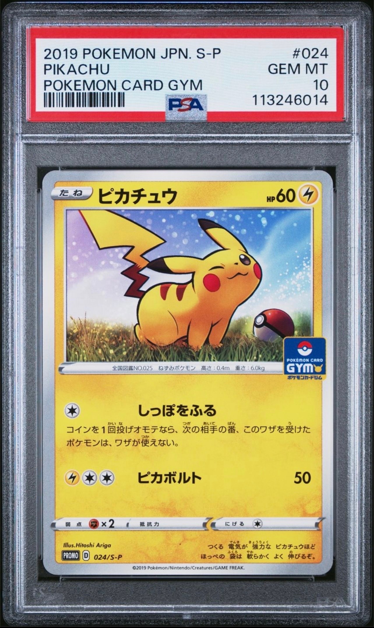 ピカチュウ: プロモ P [S-P 024](ポケモンカードゲーム ソード&シールド 「プロモカードパック 第1弾」)