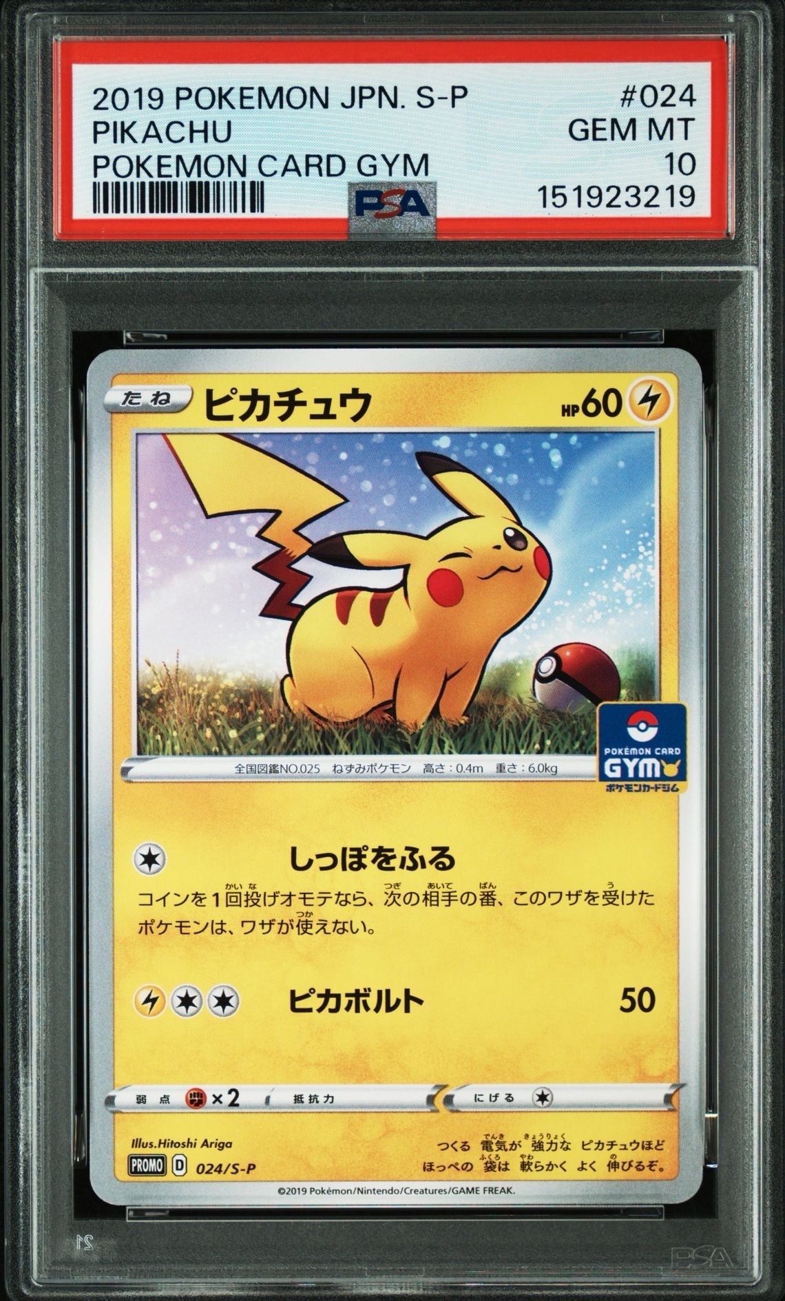 ピカチュウ: プロモ P [S-P 024](ポケモンカードゲーム ソード