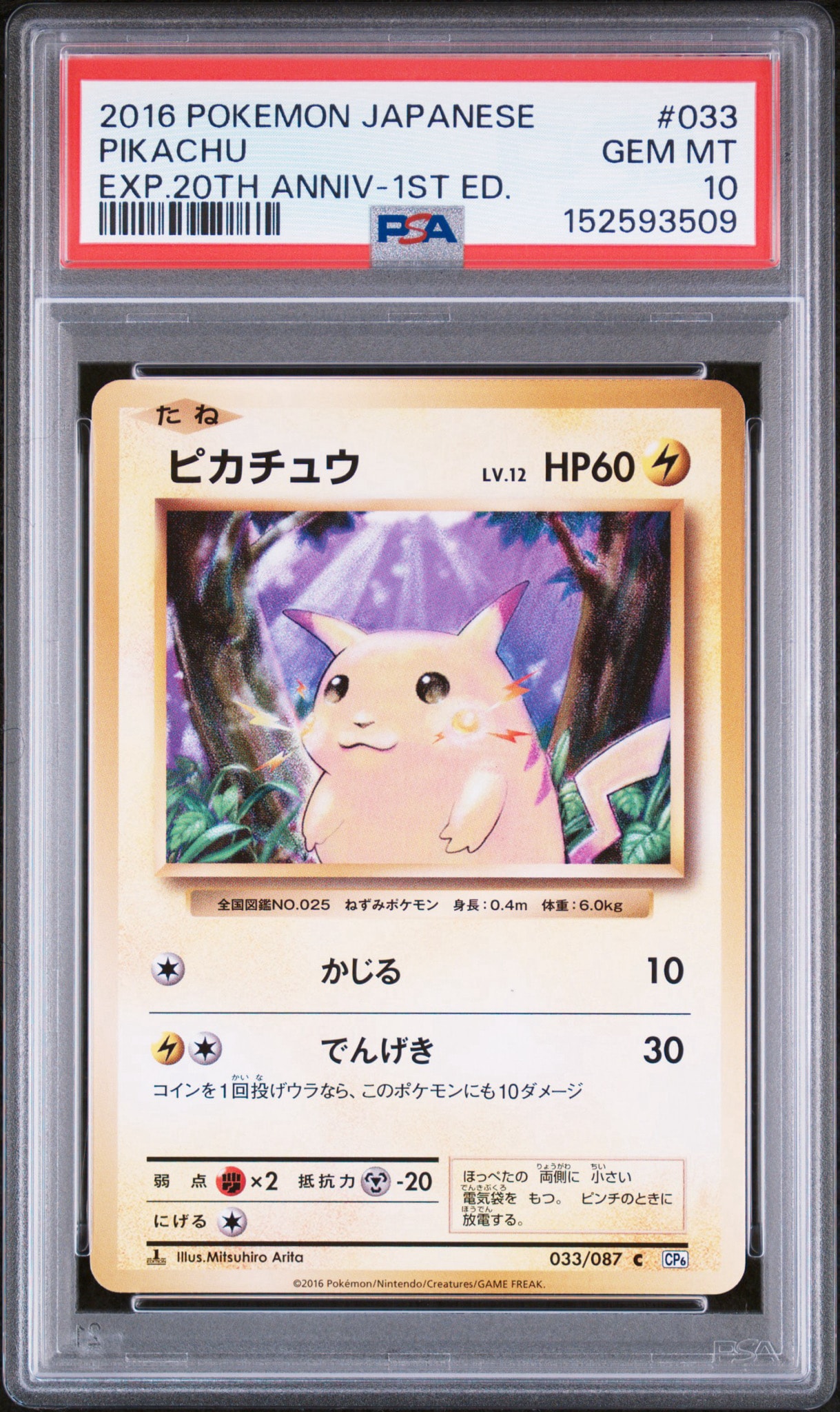 ピカチュウ C :1ED [CP6 033/087](コンセプトパック