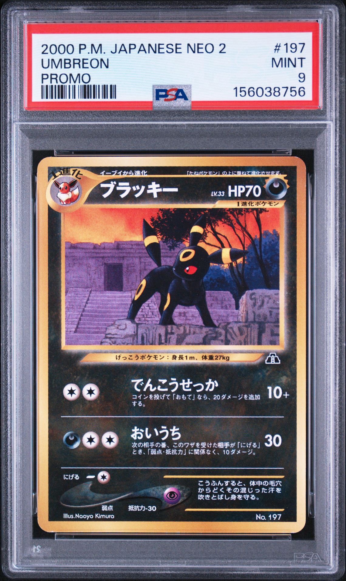 PSA10】ブラッキープレミアムファイル2: 旧裏[neoP2 No.197