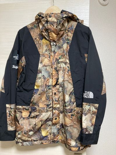 Supreme x The North Face Leaves Mountain Light Jacket "Leaves"