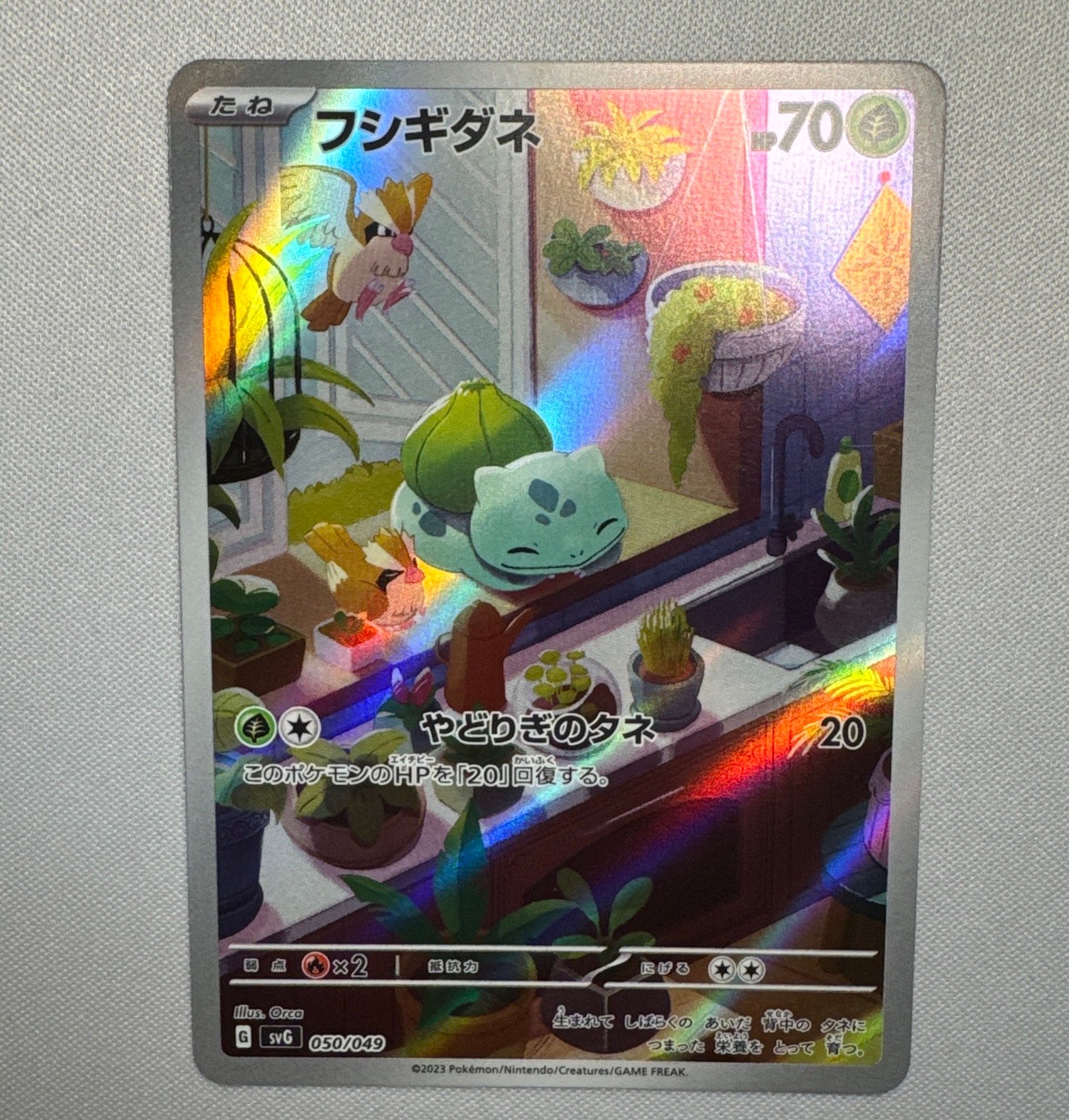 フシギダネ :フルイラスト [SVG 050/049](スペシャルデッキセットex「フシギバナ・リザードン・カメックス」)