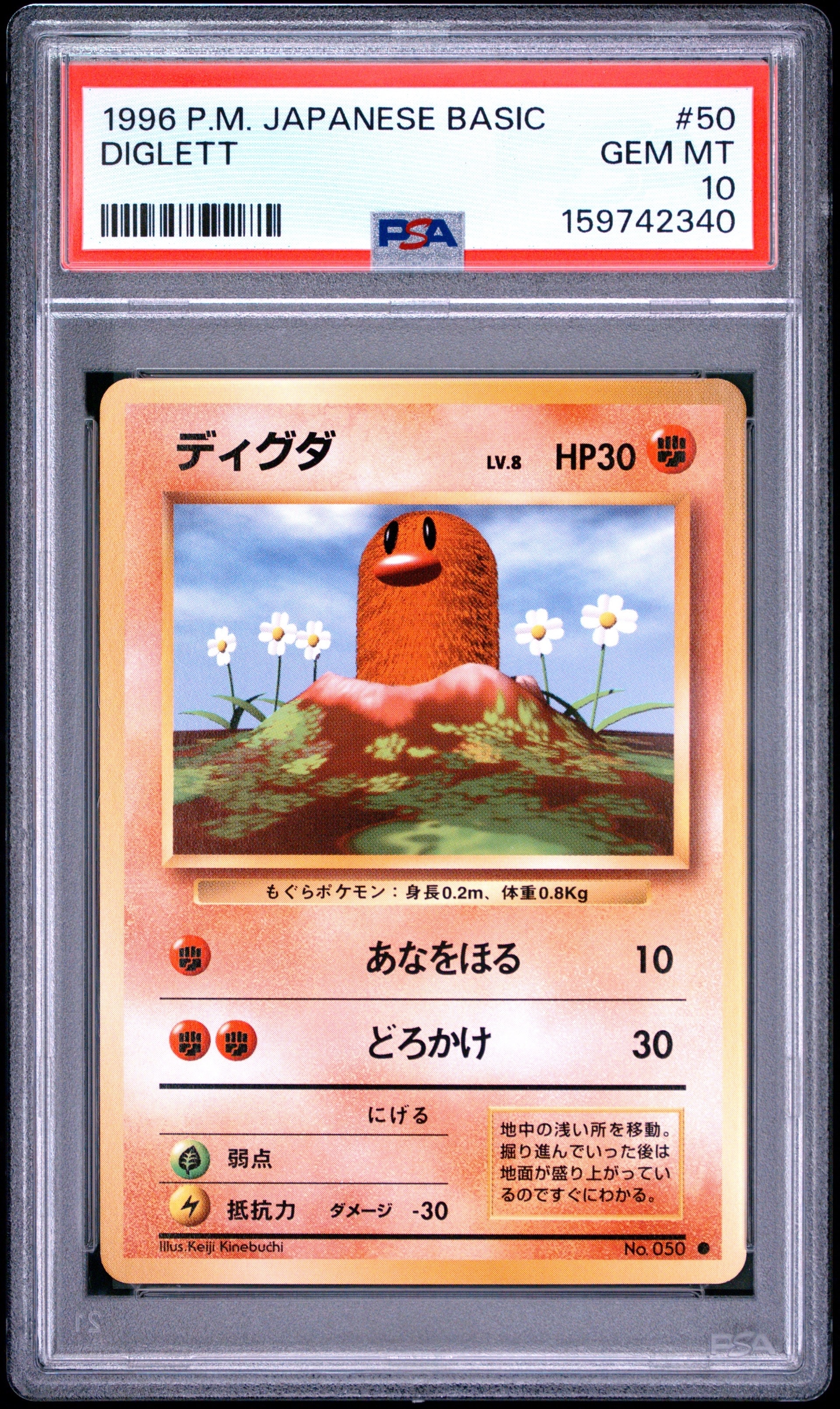 ディグダ ● : 旧裏 [PMCG1-2](拡張パック「ポケットモンスター カードゲーム」再販)