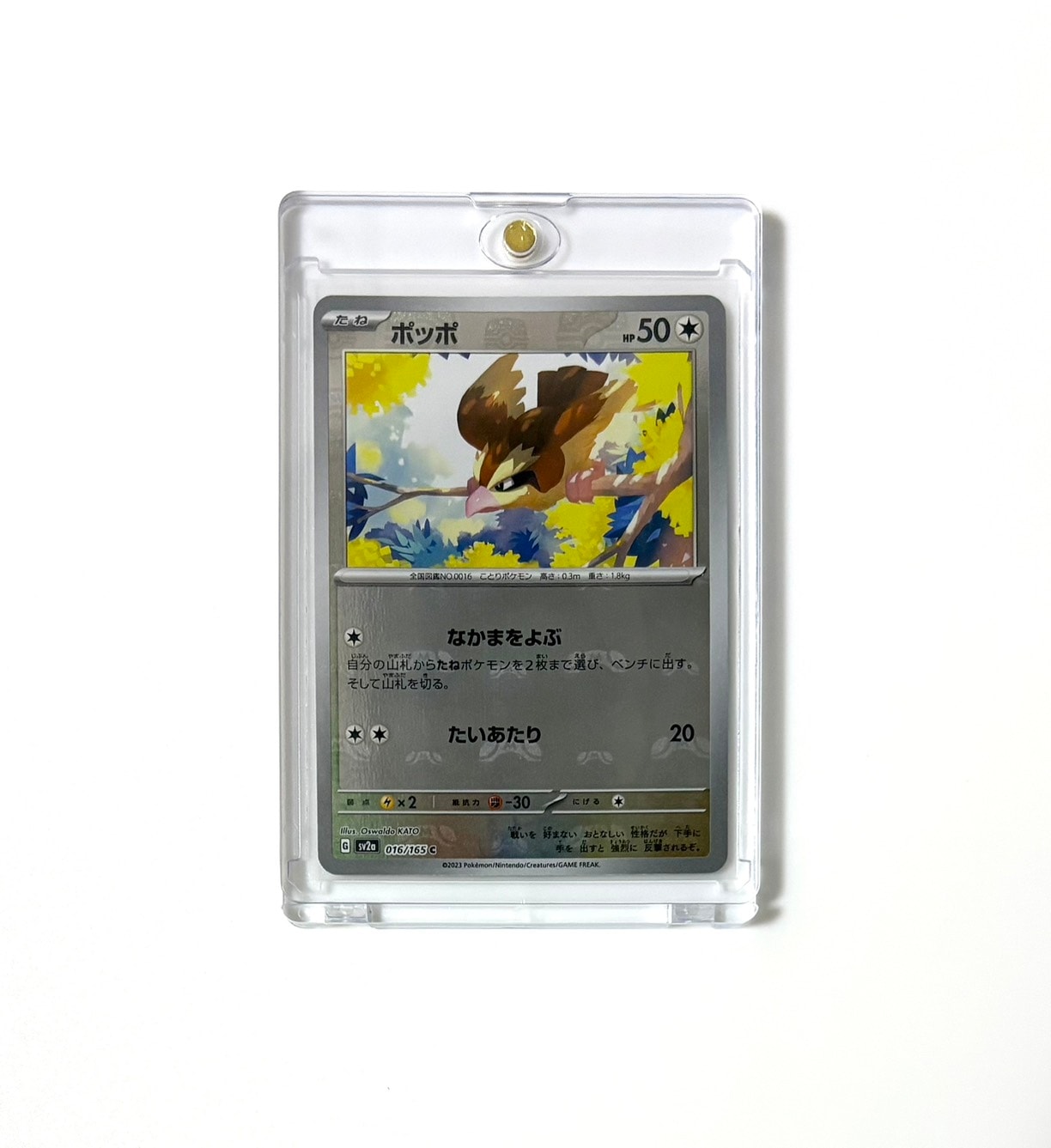 ポッポ C: マスターボールミラー[SV2a 016/165](強化拡張パック「ポケモンカード151」)