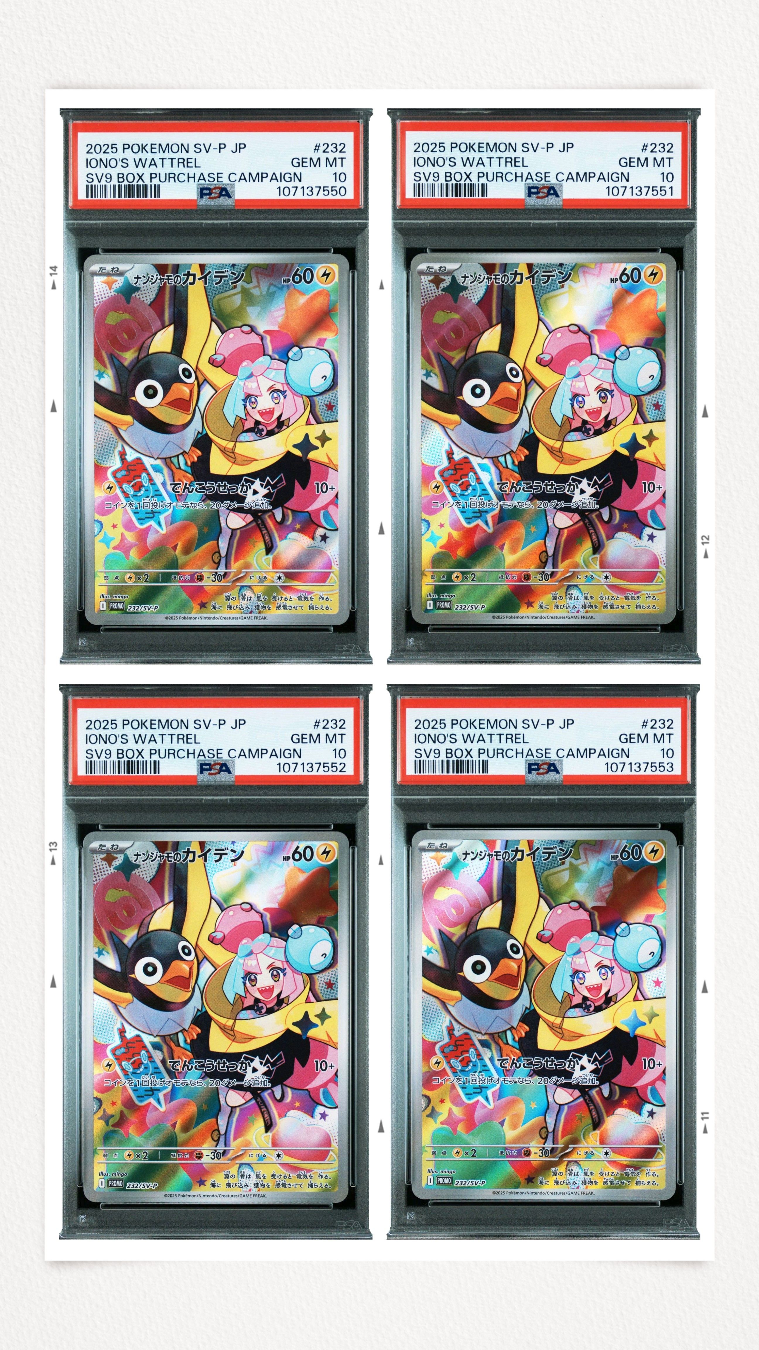 ナンジャモのカイデン P [SV-P 232](プロモーションカード「拡張パック バトルパートナーズ Box購入キャンペーン」)