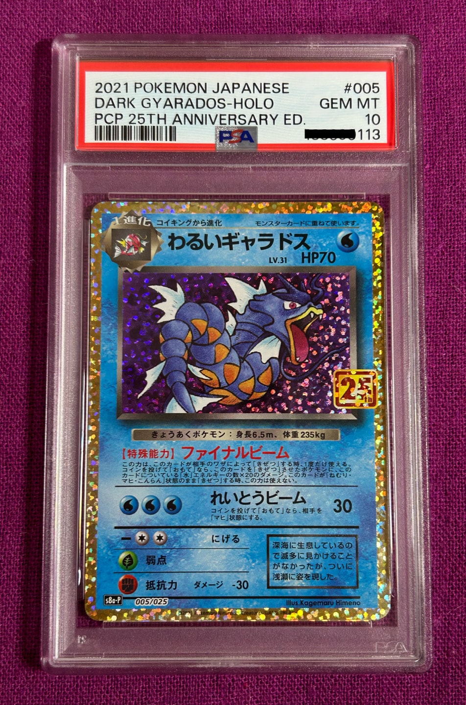 わるいギャラドス: プロモ[S8a-P 005/025](プロモカードパック 25th ANNIVERSARY edition)