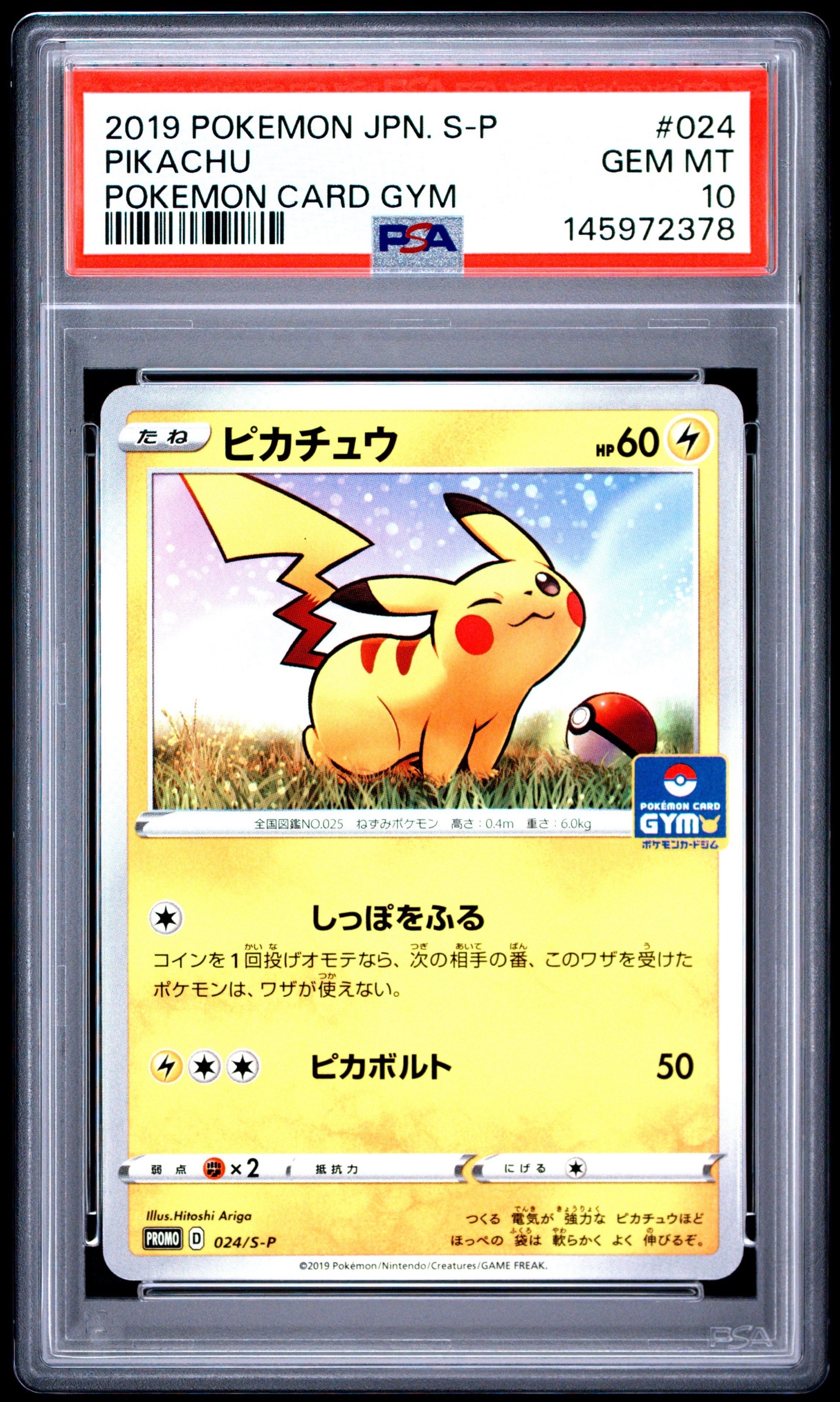 海で遊ぶピカチュウ: プロモ [SM-P 392](プロモーションカード「SM-P