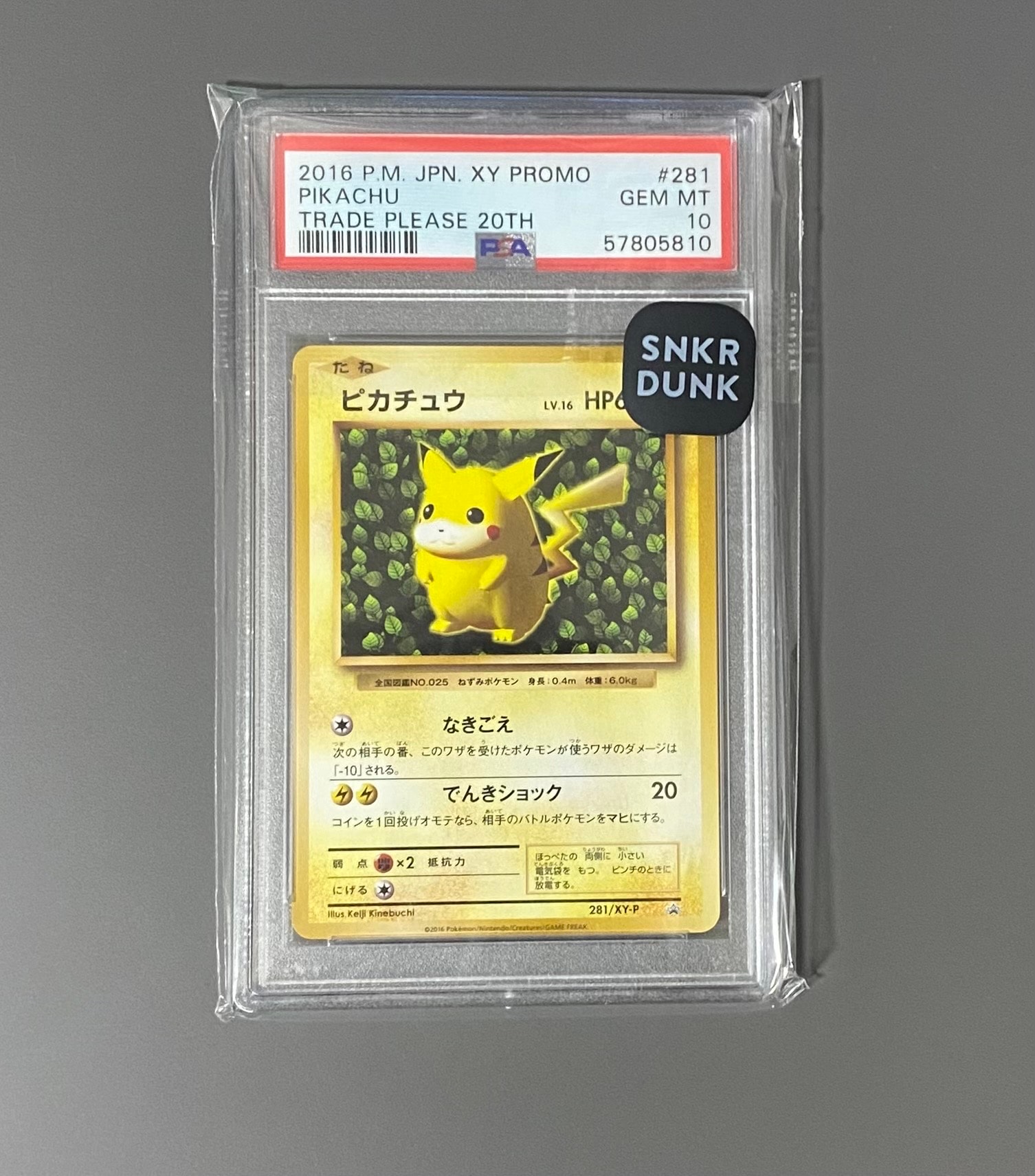 PSA10】ピカチュウ: プロモ[XY-P 281/XY-P](プロモーションカード「XY