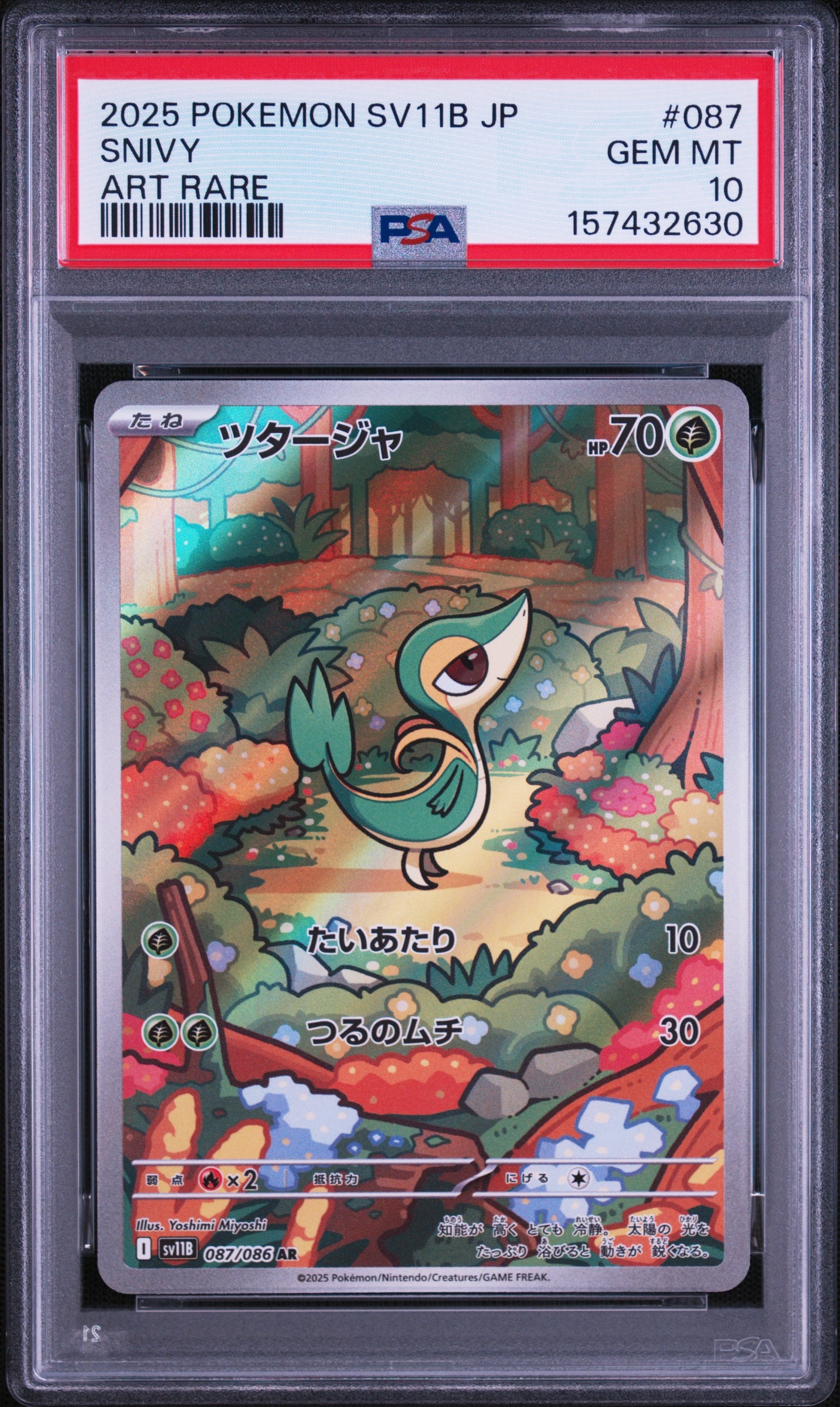 ヨコハマのピカチュウ: プロモ[SM-P 283](プロモーションカード「SM-P