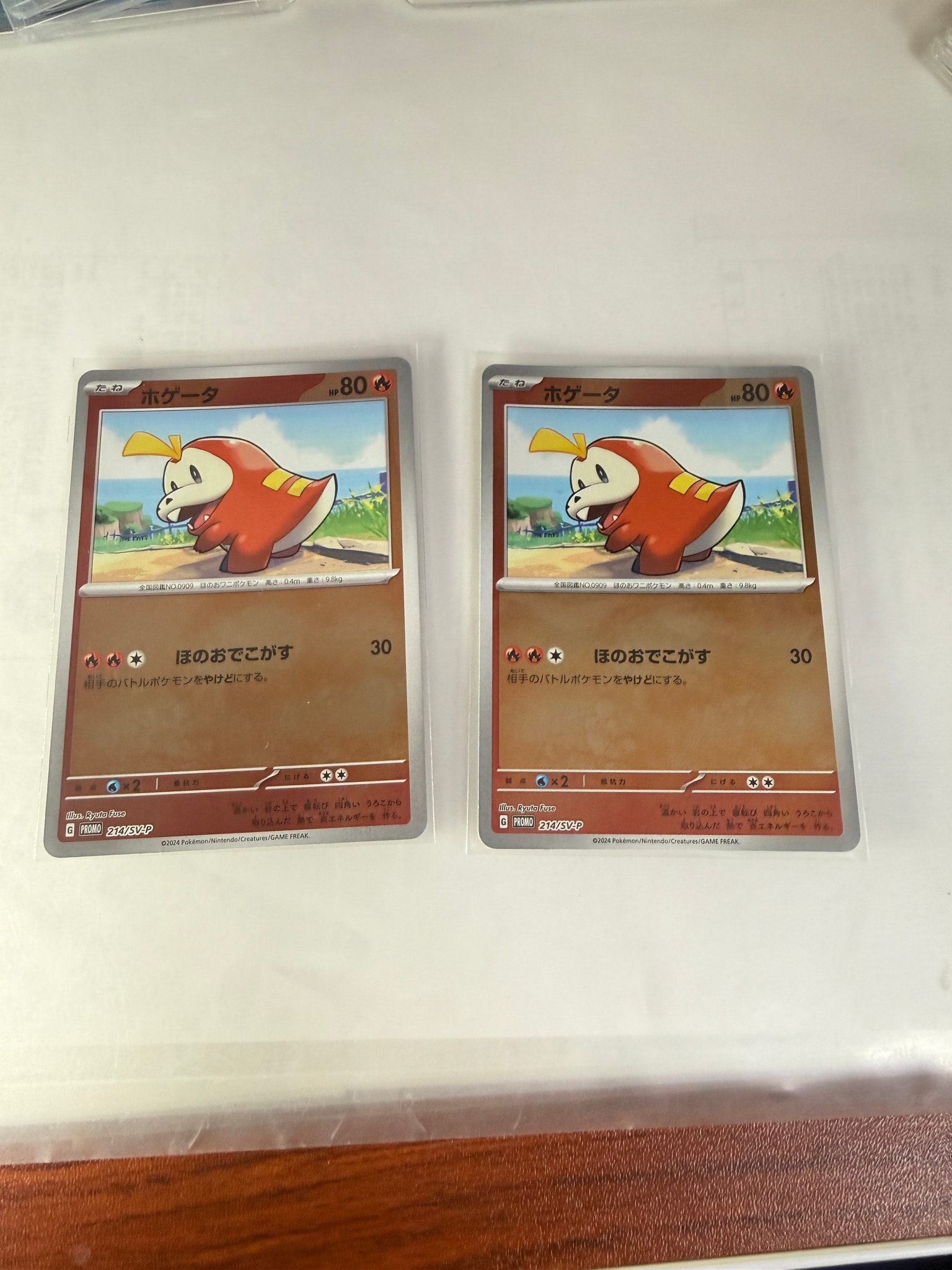 ホゲータ P [SV-P 214](プロモカードパック「ポケカの夏がキタ！プロモ