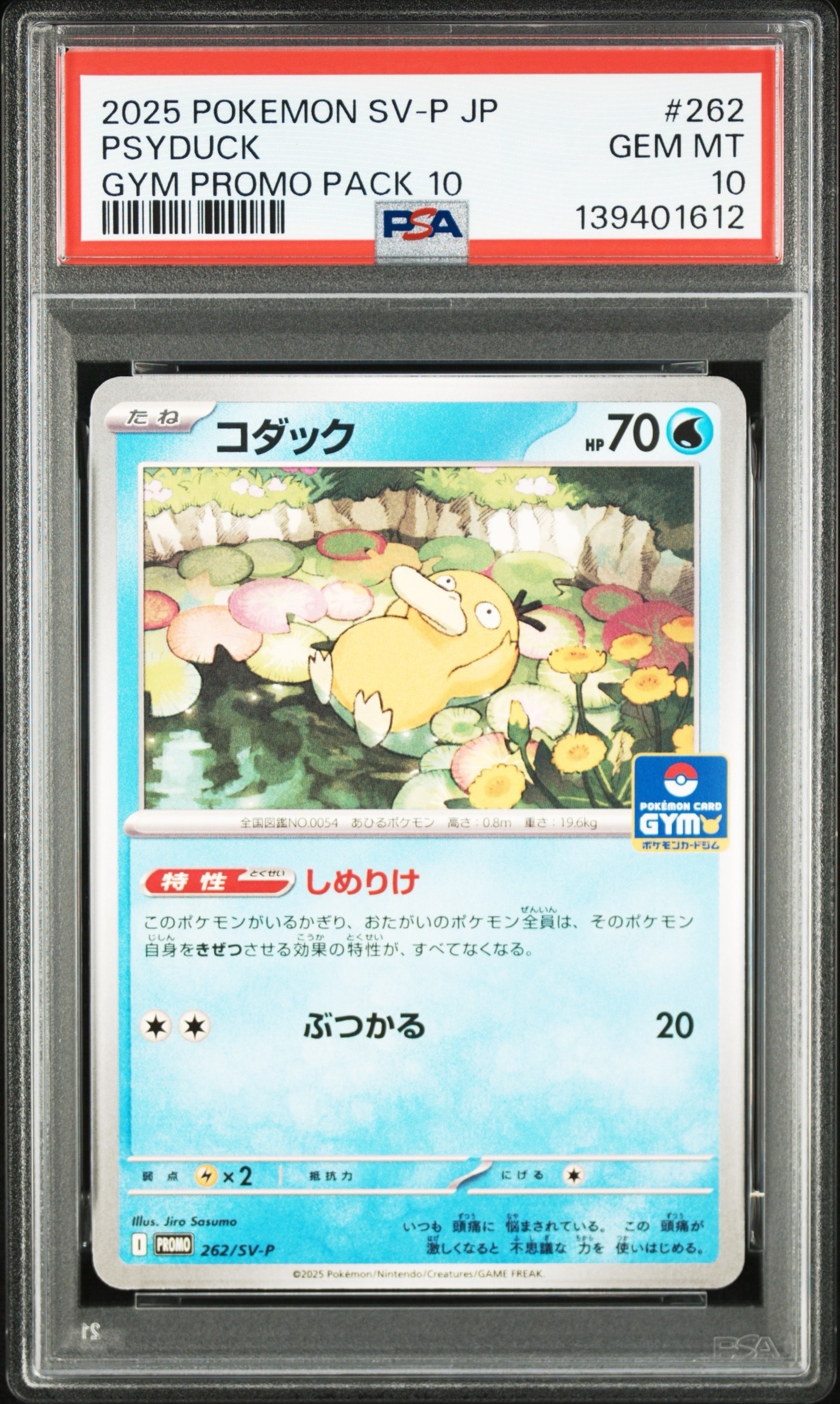 コダック P [SV-P 262](プロモカードパック「第10弾」)