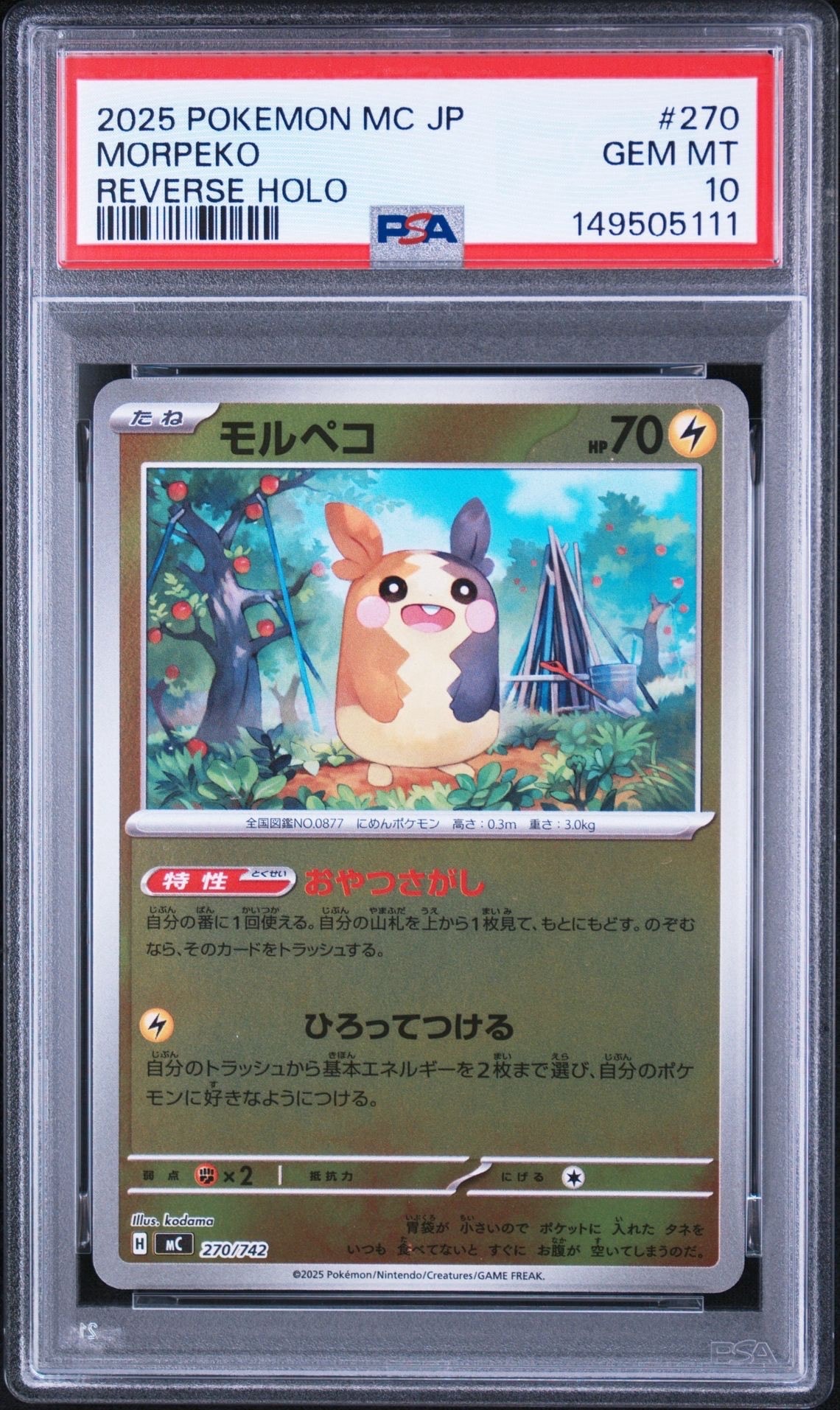 フシギバナ: プロモ[S8a-P 002/025](プロモカードパック 25th