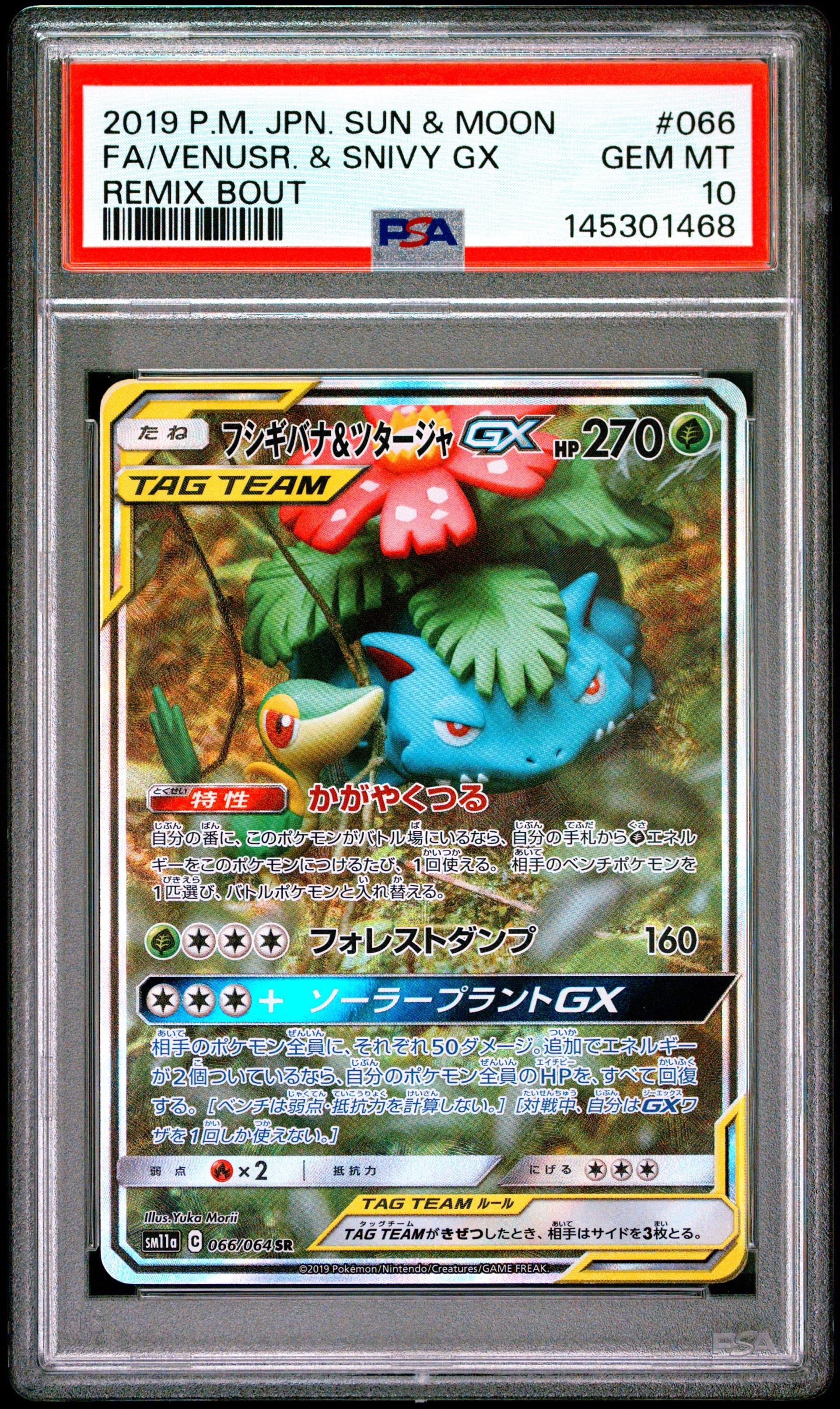 PSA10】フシギバナ&ツタージャGX SR: SA[SM11a 066/064](強化拡張