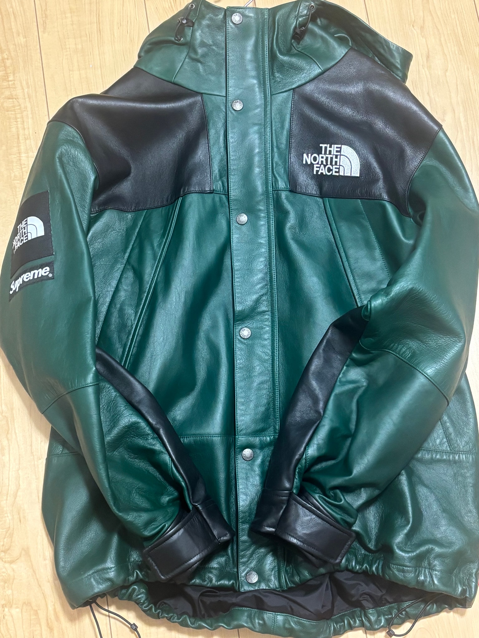 Supreme x The North Face Leather Mountain Parka "Green"