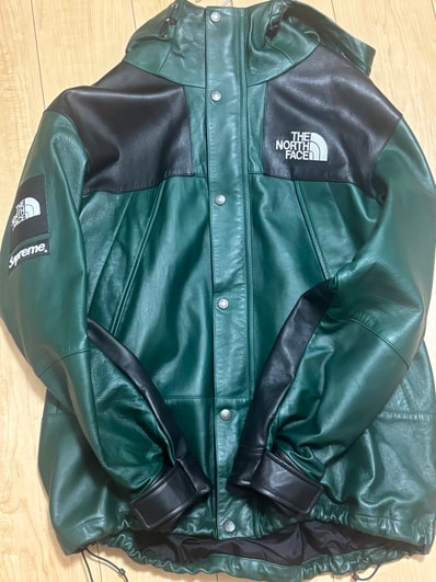 Supreme x The North Face Leather Mountain Parka "Green"