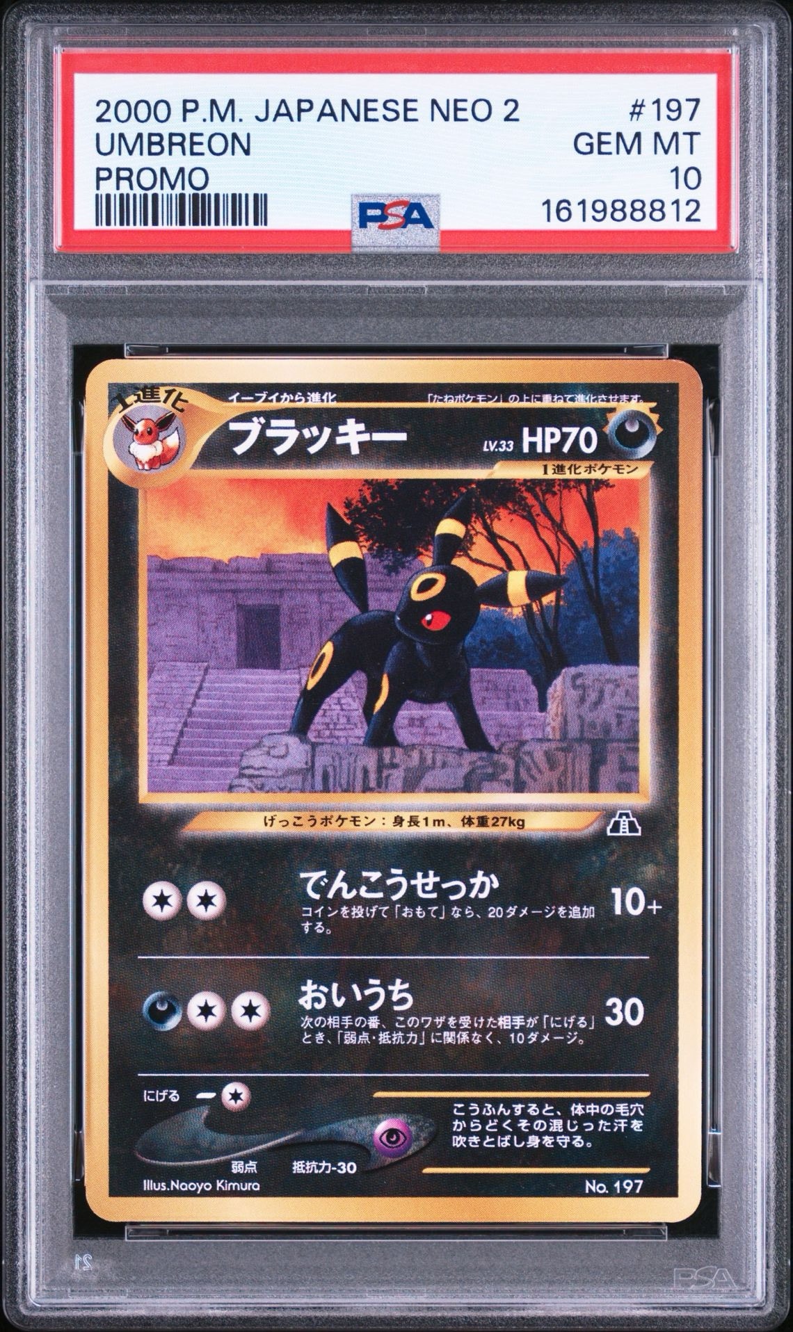 PSA10】ブラッキープレミアムファイル2: 旧裏[neoP2 No.197 PSA10】ブラッキープレミアムファイル2: 旧裏[neoP2 No.197