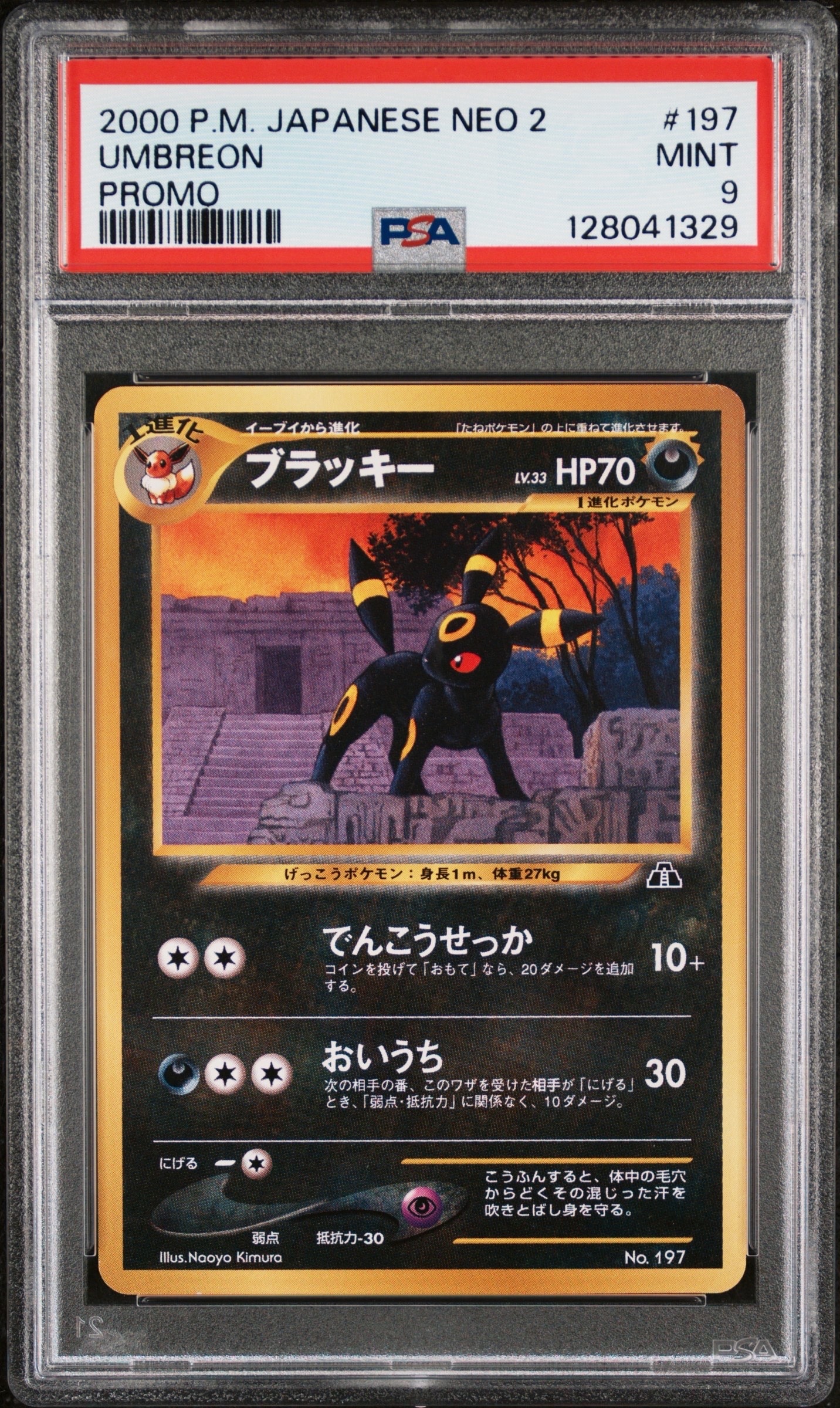 PSA10】ブラッキープレミアムファイル2: 旧裏[neoP2 No.197