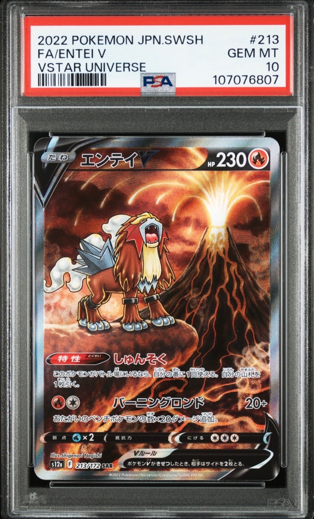 エンテイV SAR[s12a 213/172](ハイクラスパック「VSTARユニバース」)