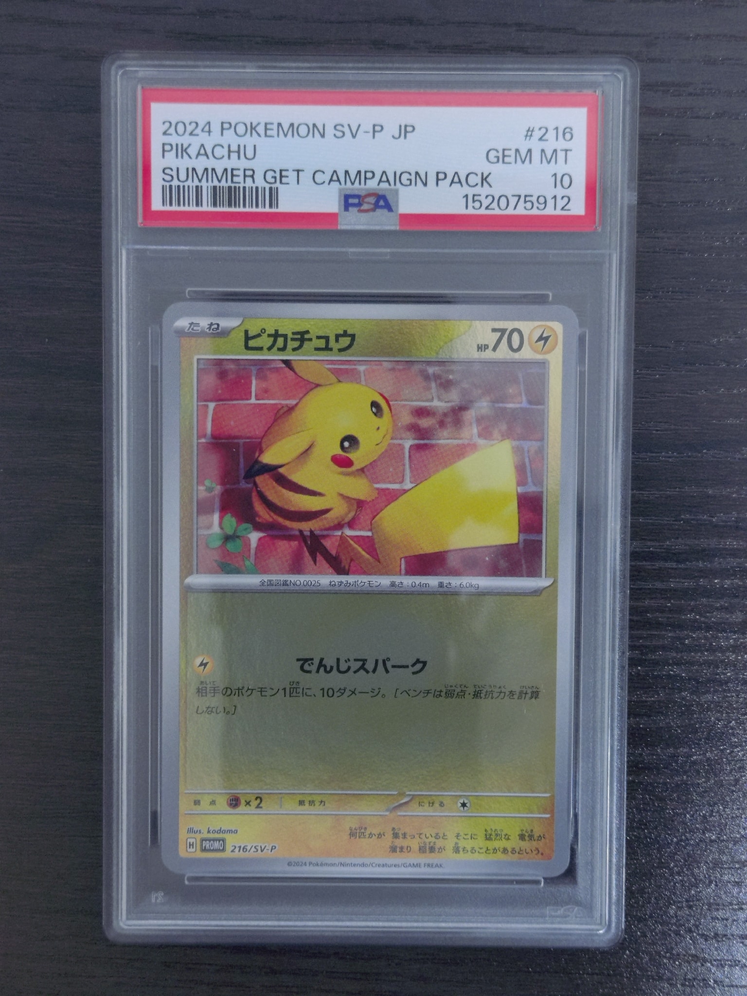 ピカチュウ P [SV-P 216](プロモカードパック「ポケカの夏がキタ!プロモカードGetキャンペーン!」)