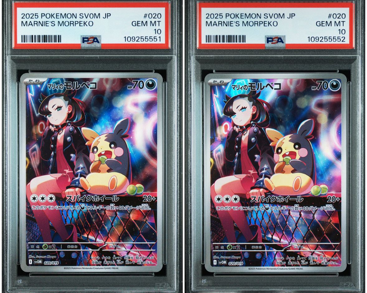 マリィのモルペコ [SVOM 020/019](スターターセットex「マリィのモルペコ&オーロンゲex」)