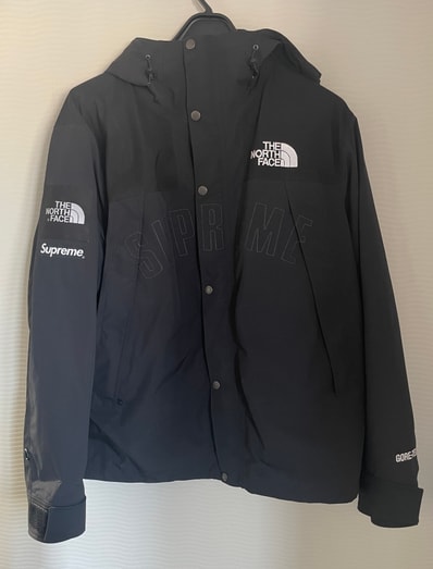 Supreme x The North Face Arc Logo Mountain Parka "Black" NP11901I / NF0A3VMM