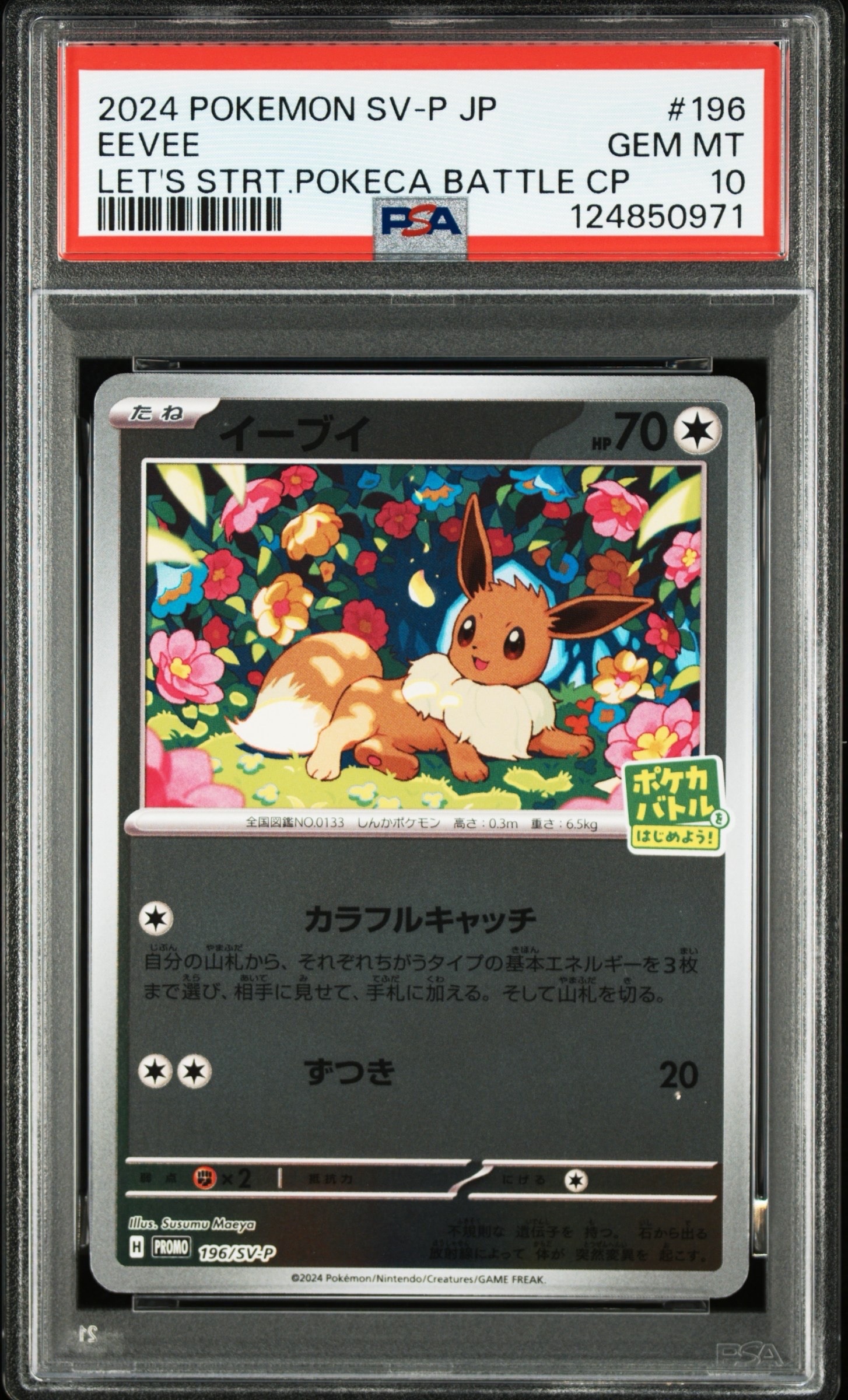 イーブイ P [SV-P-SM 196](プロモカードパック「ポケカバトルをはじめよう!キャンペーン」)