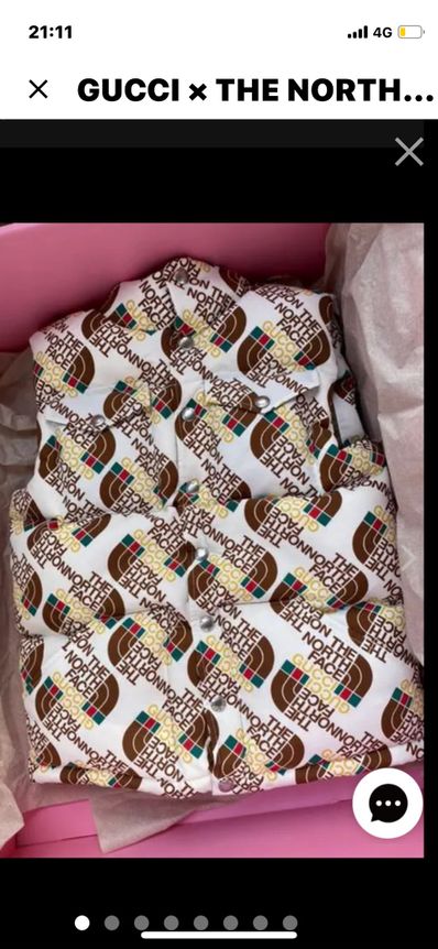 GUCCIxノースフェイス、ダウンベスト