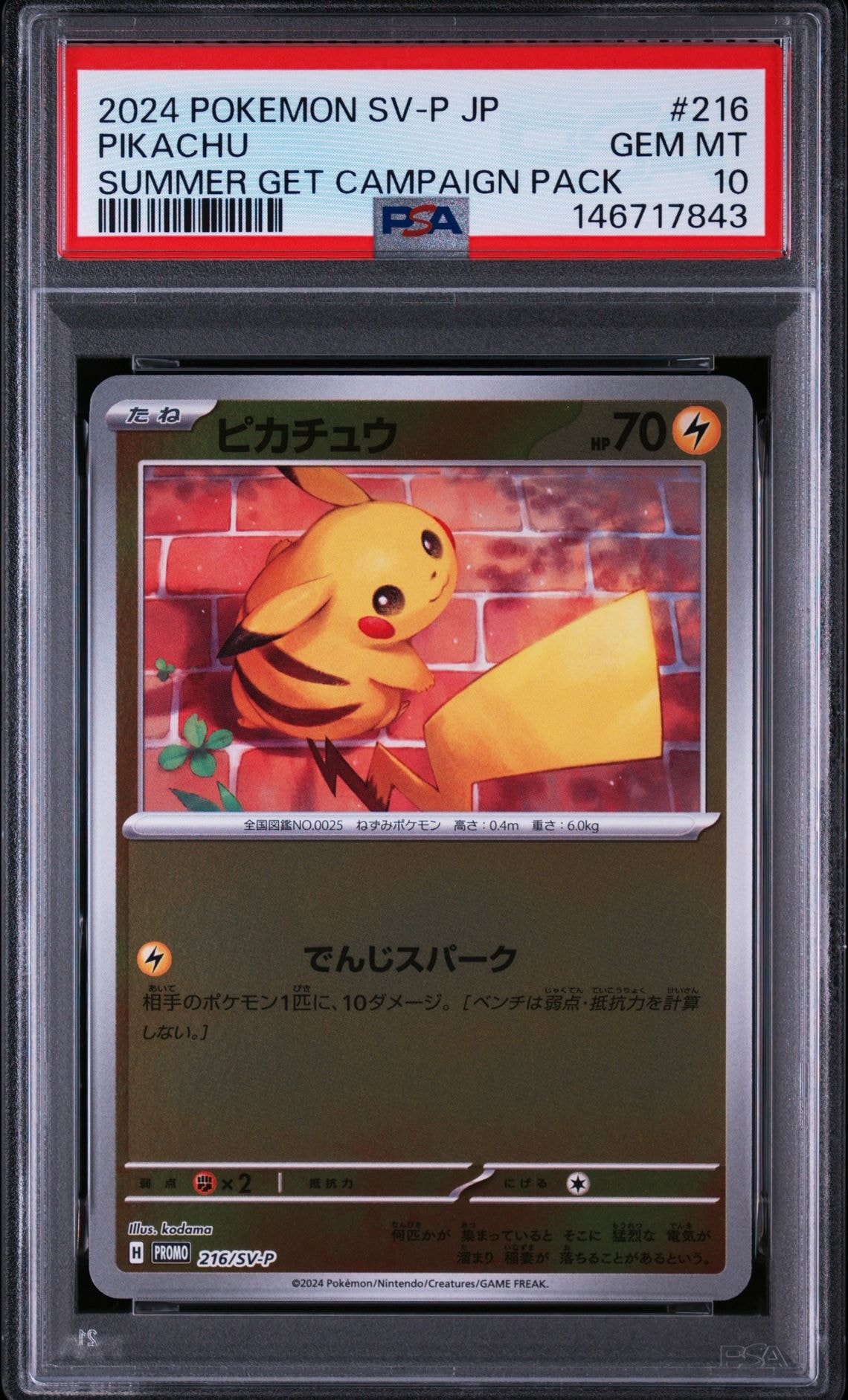 ピカチュウ P [SV-P 216](プロモカードパック「ポケカの夏がキタ