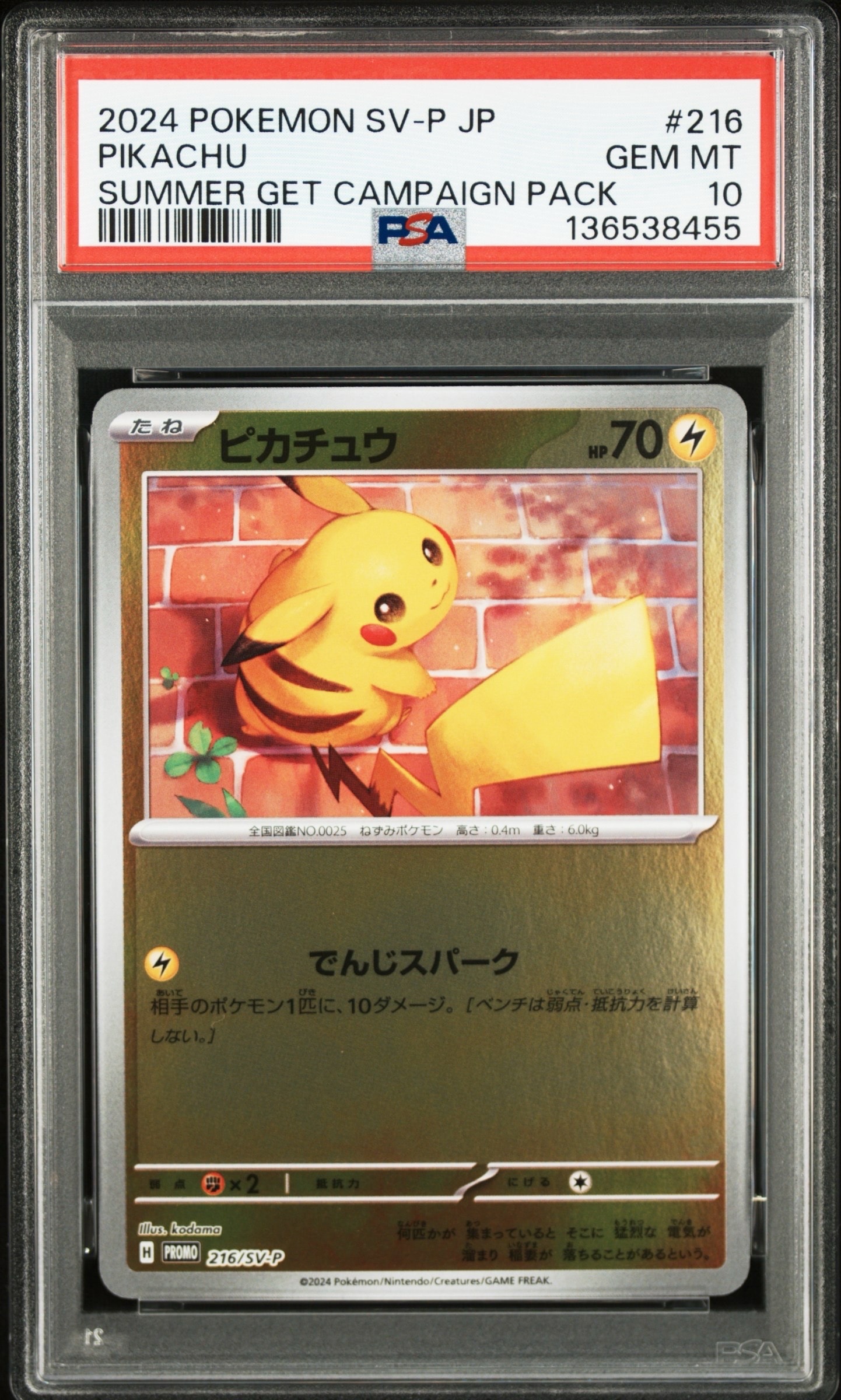 ピカチュウ P [SV-P 216](プロモカードパック「ポケカの夏がキタ!プロモカードGetキャンペーン!」)