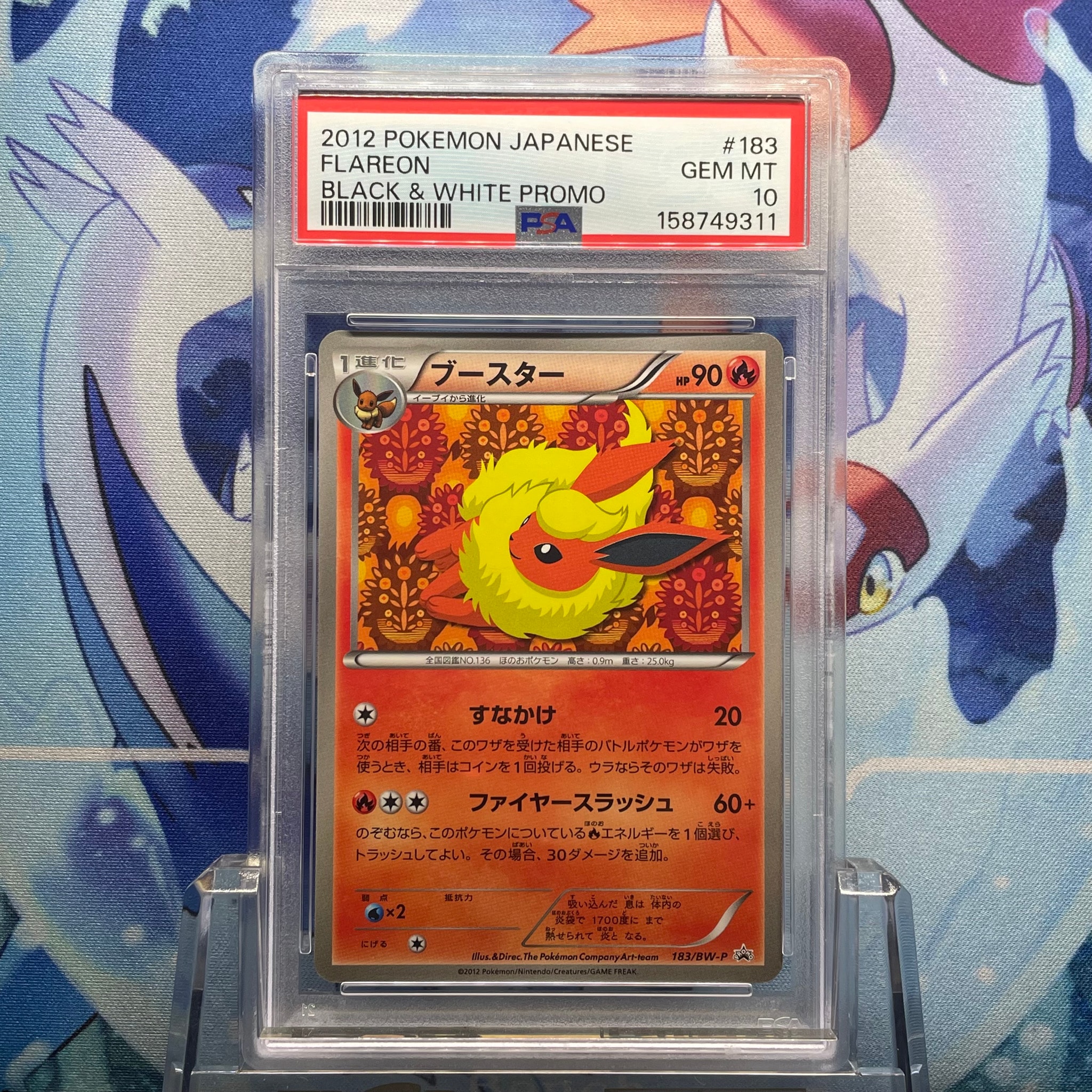 Flareon P [BW-P 183/BW-P](Promotional Cards "Collection File Eevee Collection Special Card")