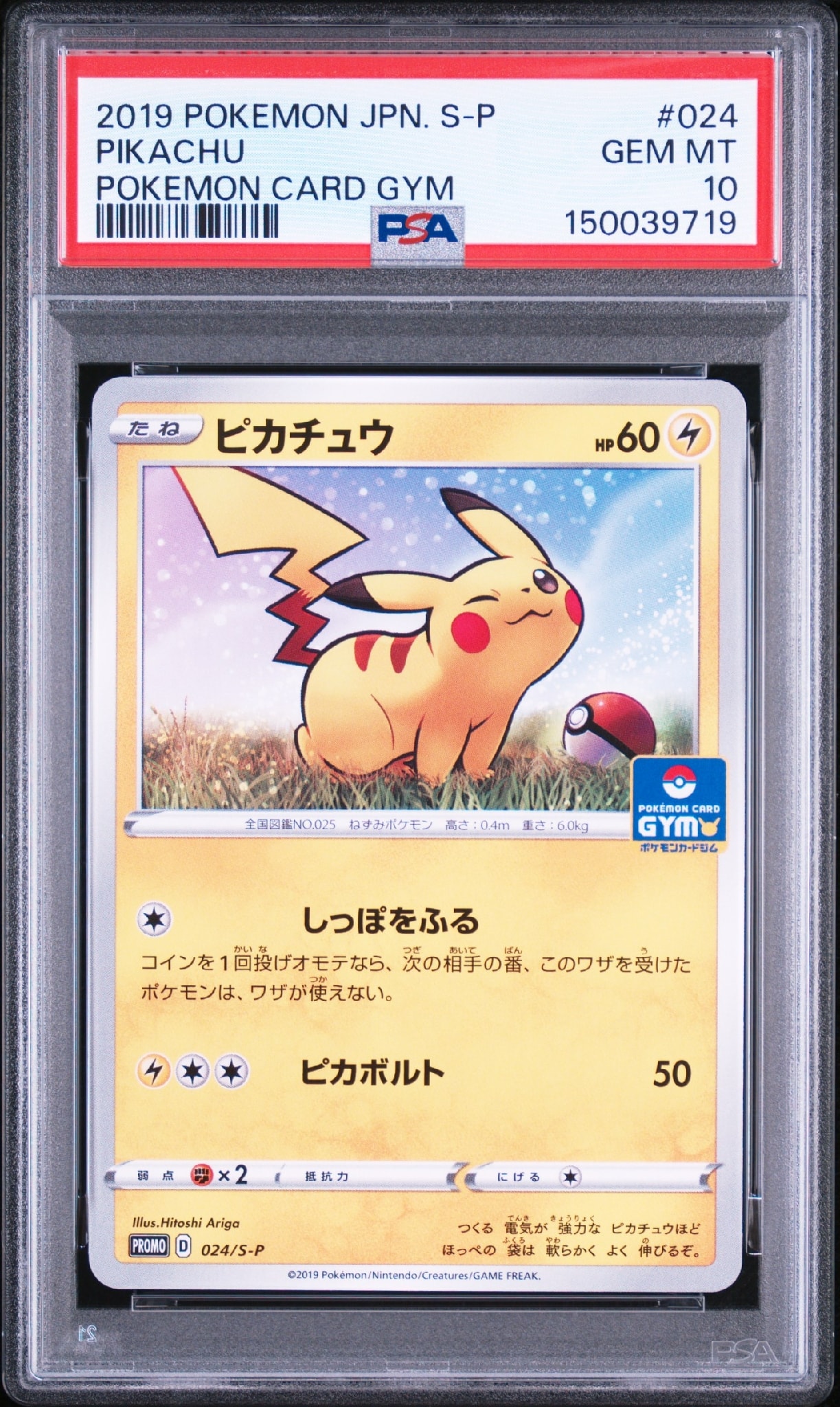 PSA10】メイのはげまし SAR [M3 115/080](拡張パック「ムニキスゼロ