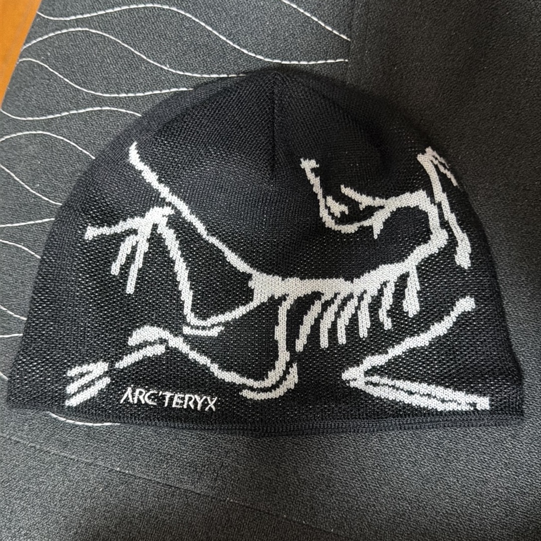 ARC'TERYX Bird Head Toque "Orca"