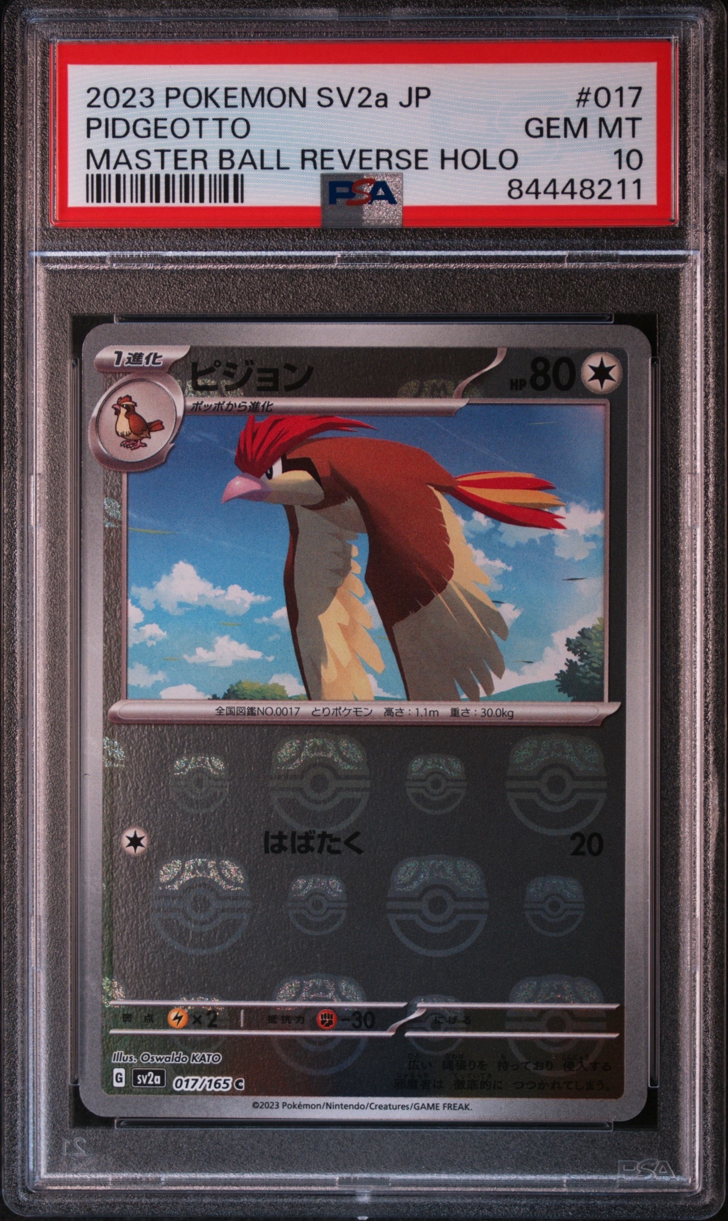 ピジョン C: マスターボールミラー[SV2a 017/165](強化拡張パック「ポケモンカード151」)