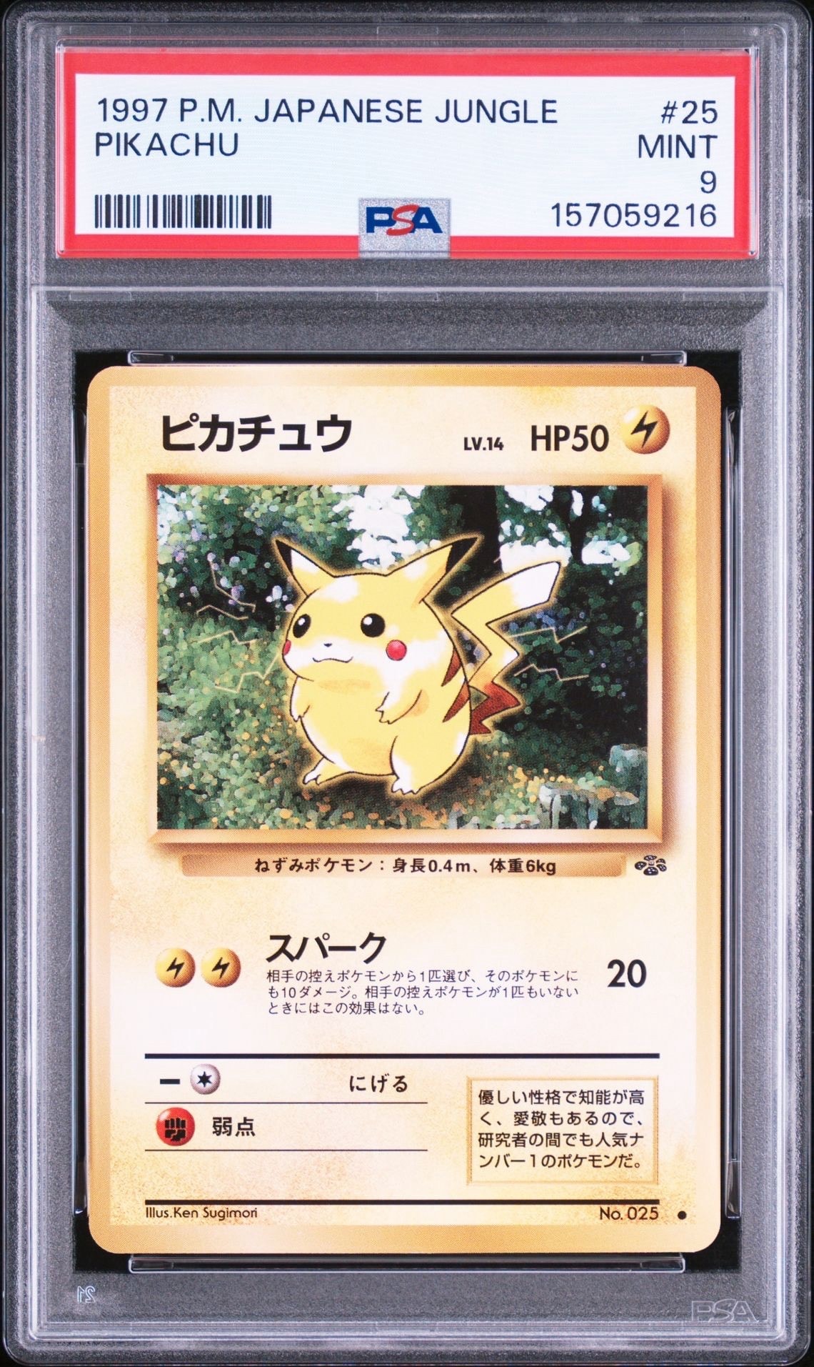 ピカチュウ ○ : 旧裏 [PMCG2 No.025](拡張パック「ポケモンジャングル