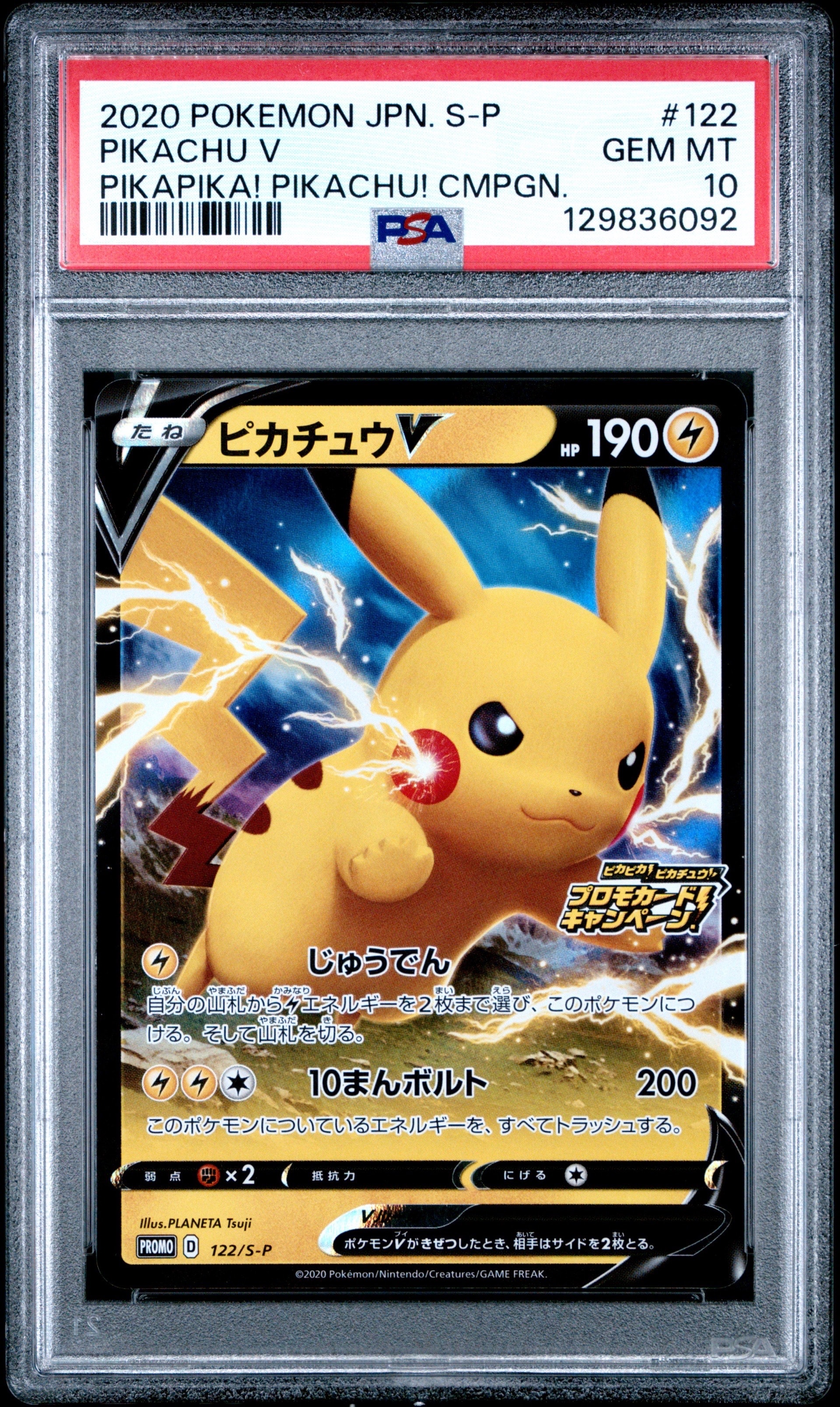 ピカチュウV: プロモ P [S-P 122](ピカピカ!ピカチュウ!プロモカードキャンペーン)