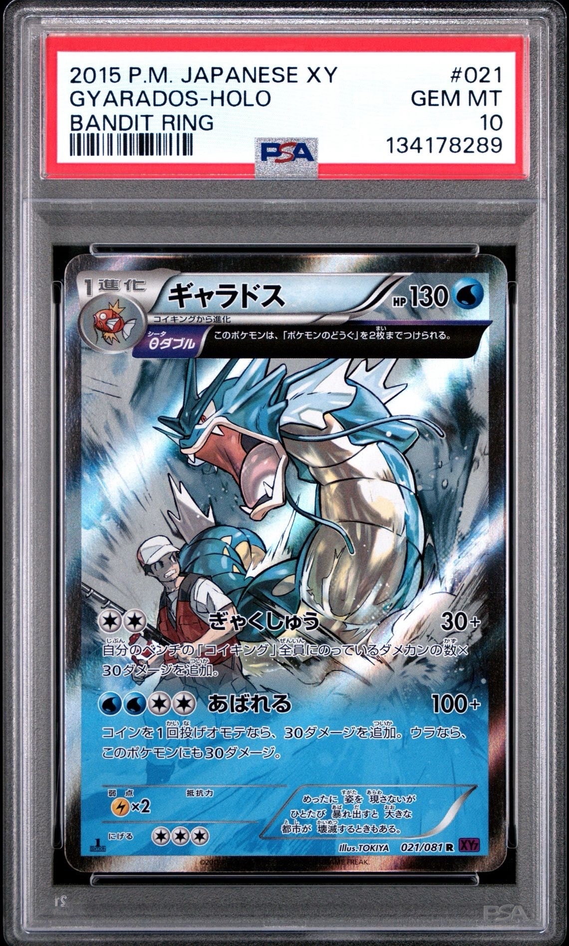 ギャラドス R :1ED [XY7 021/081](拡張パック「バンデットリング」)