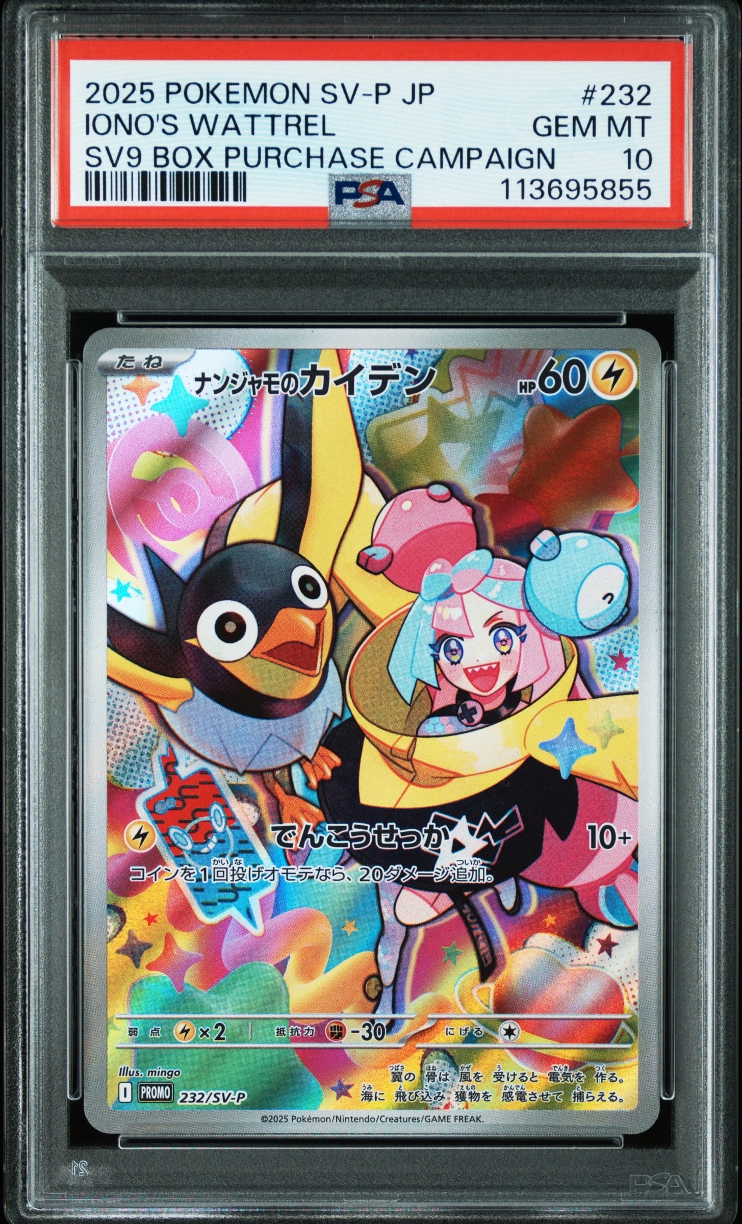 ナンジャモのカイデン P [SV-P 232](プロモーションカード「拡張パック バトルパートナーズ Box購入キャンペーン」)