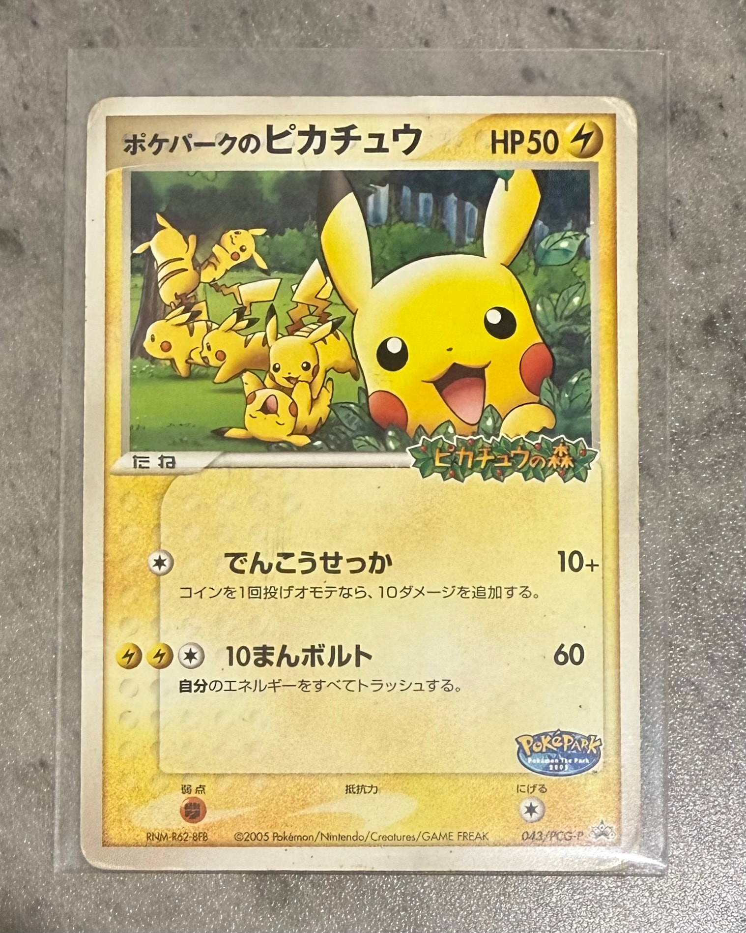 ポケパークのピカチュウ P [PCG-P 043](プロモーションカード「ポケパーク ルギアのくるくるシップ」)