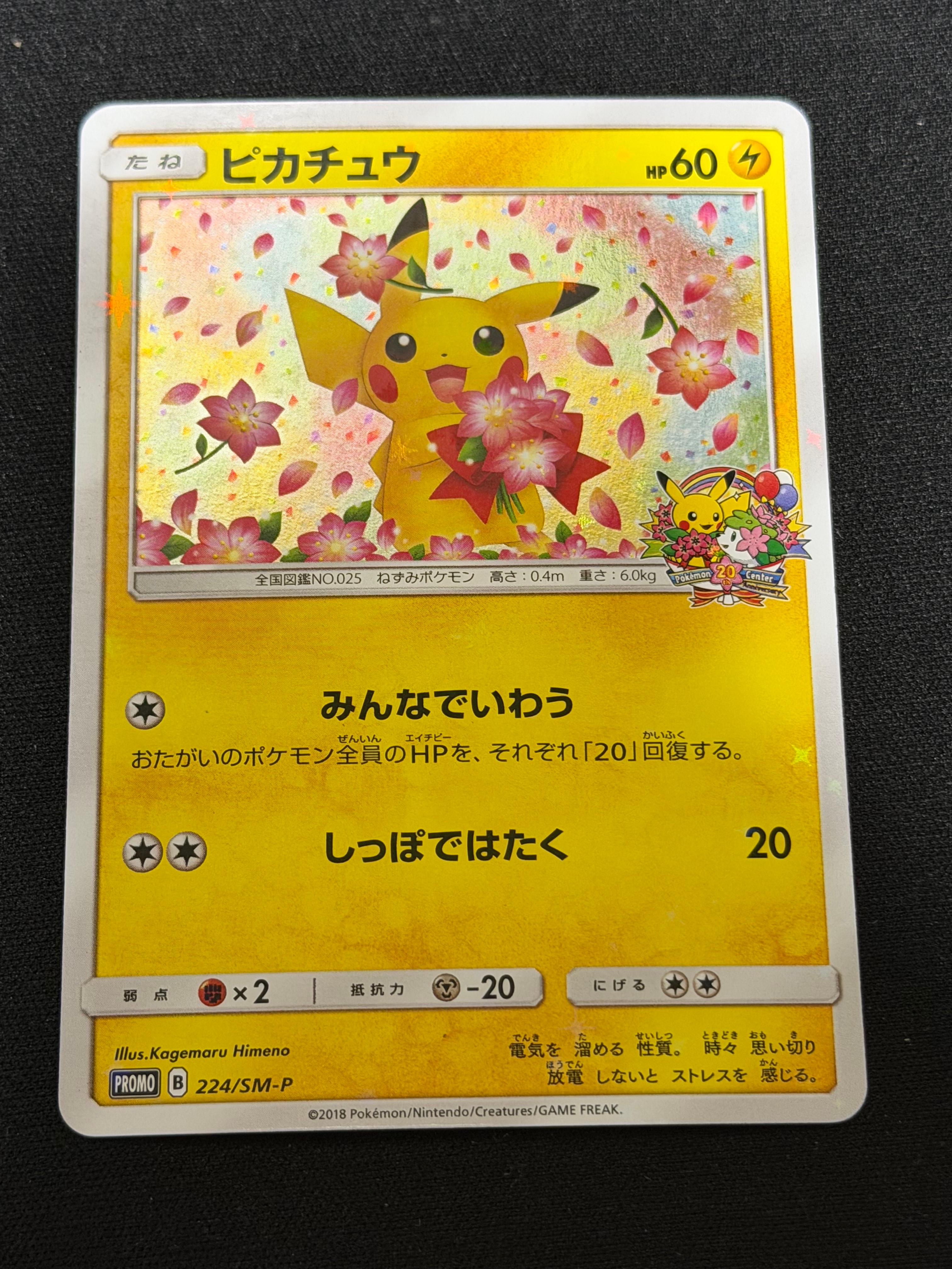 ピカチュウ: プロモ[SM-P 224](プロモーションカード「SM-P」)の新品