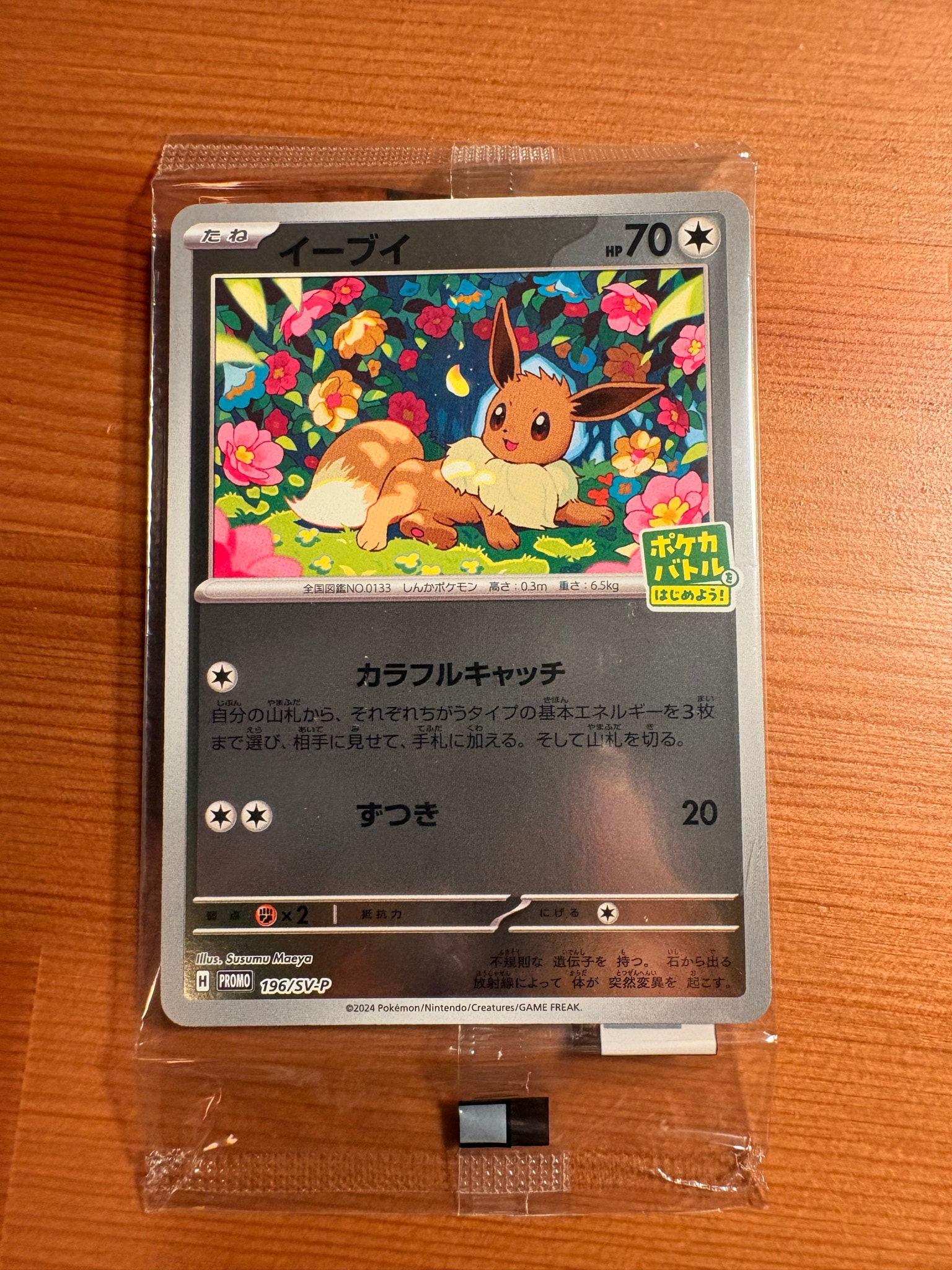 イーブイ P [SV-P-SM 196](プロモカードパック「ポケカバトルをはじめよう!キャンペーン」)
